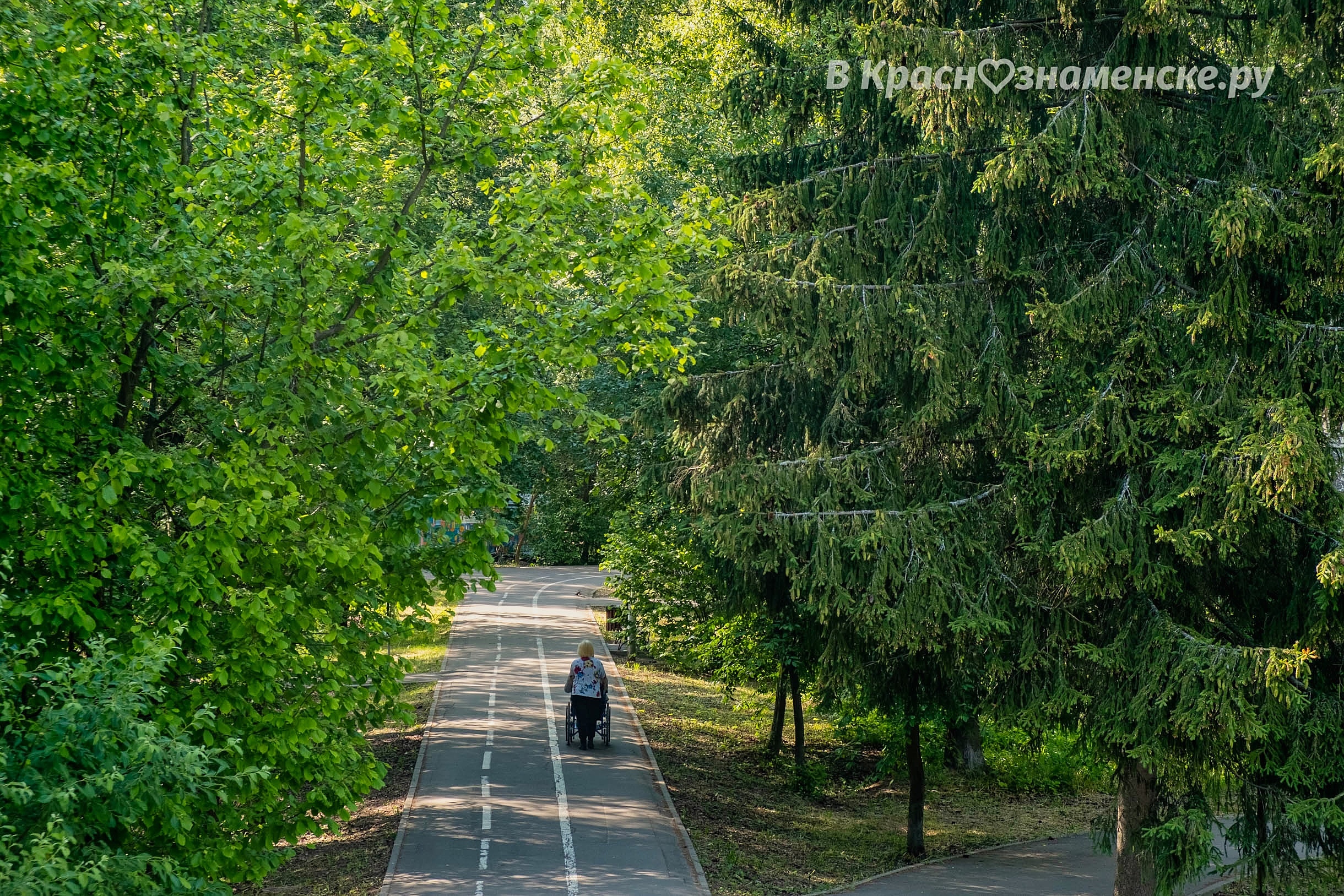 Прогулка по городу — Краснознаменск