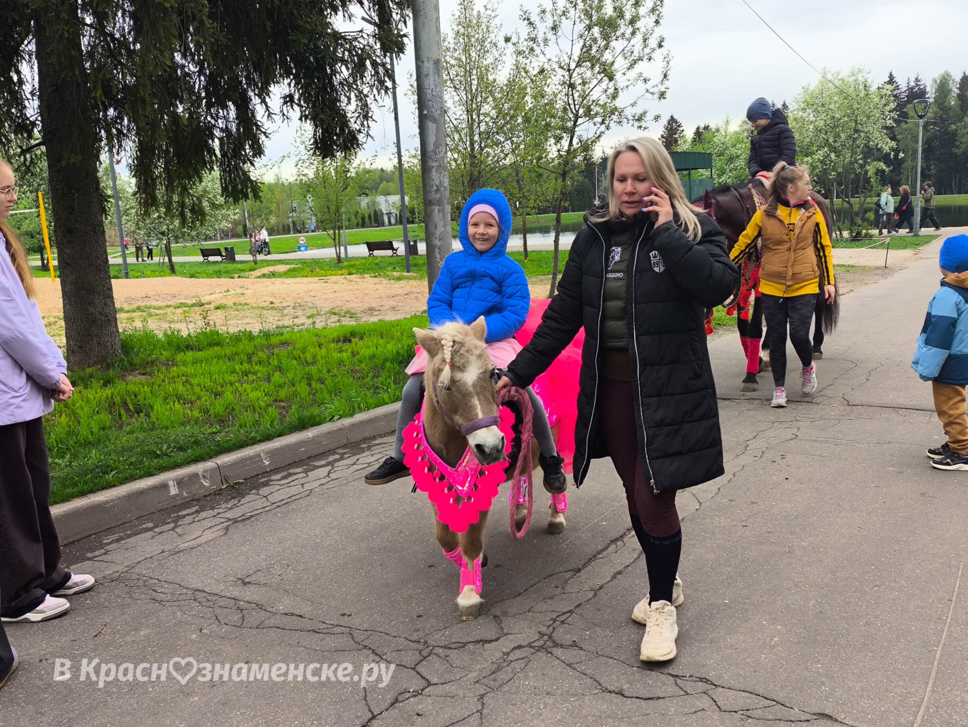 В Городском парке тоже на лошадях катают  *Краснознаменск в