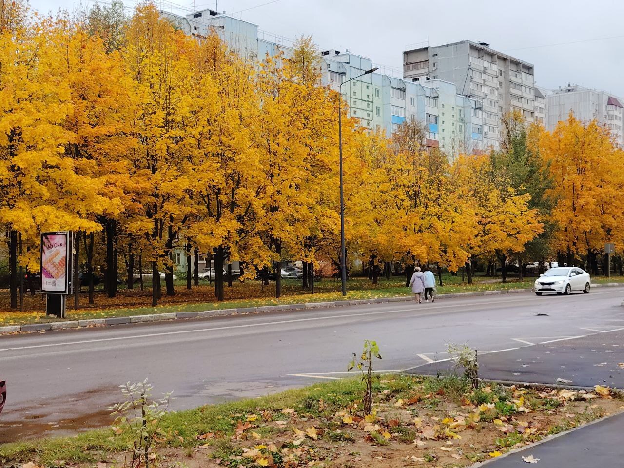 Красота краснознаменской осени ????  ⓒ Краснознаменск ???? Чат htt