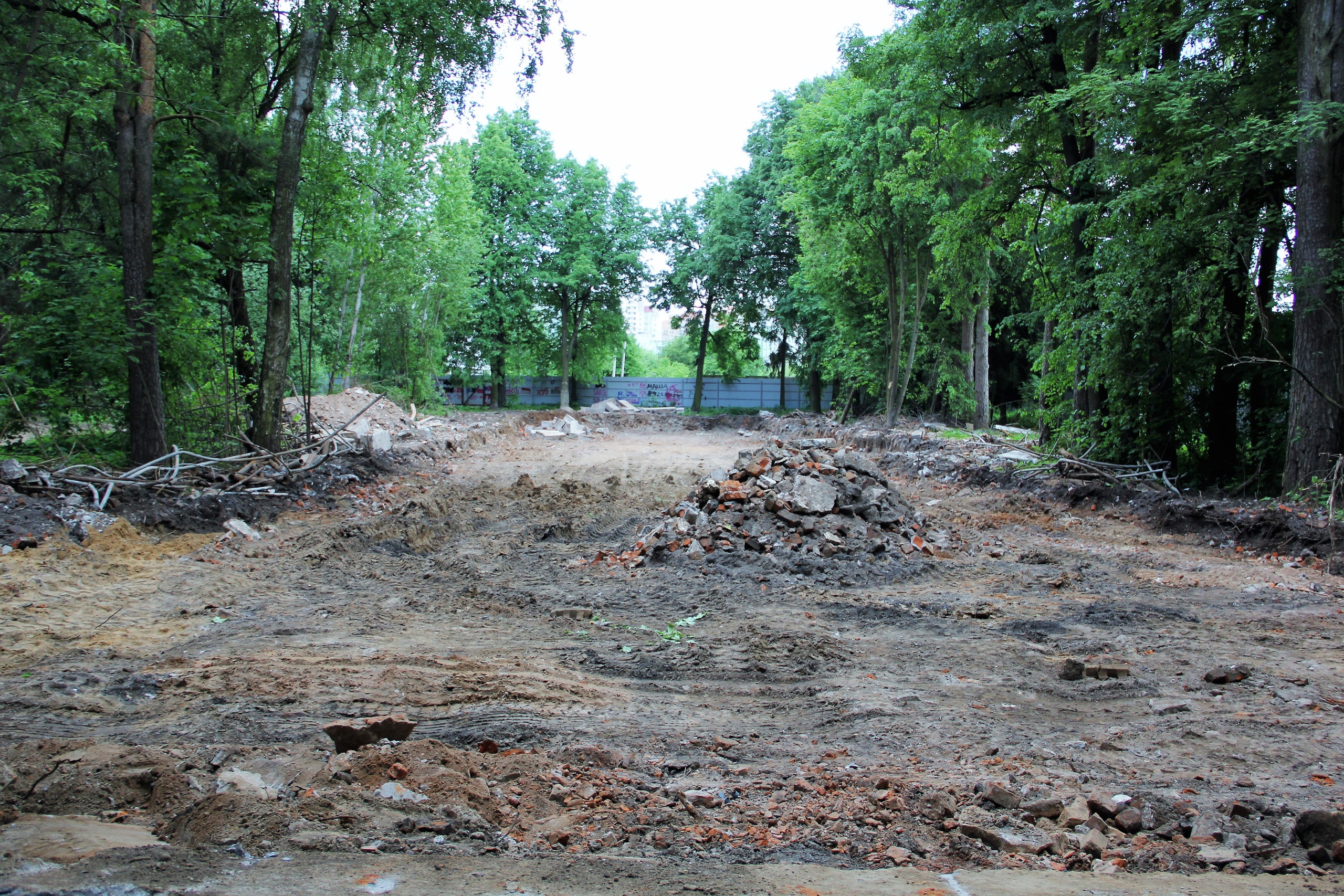 Фото 27339 — Краснознаменск