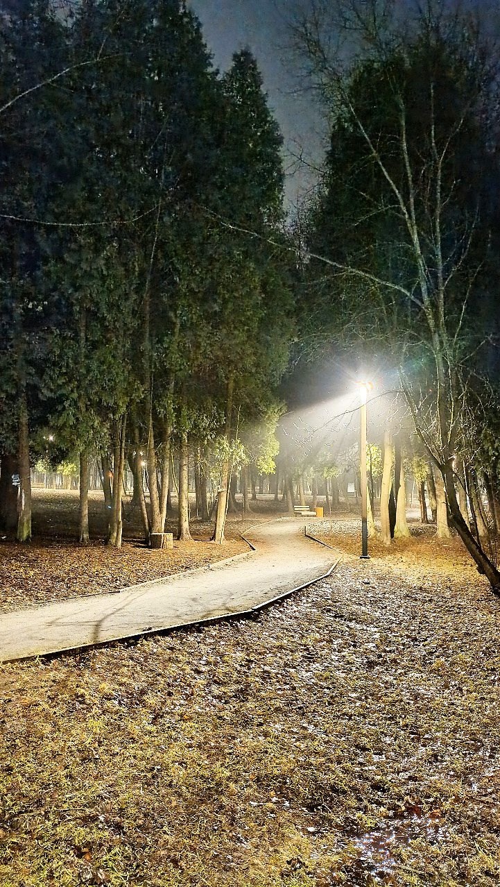 Прогулка в Беличьем Парке Фото: Гринёва Юлия — Краснознаменск