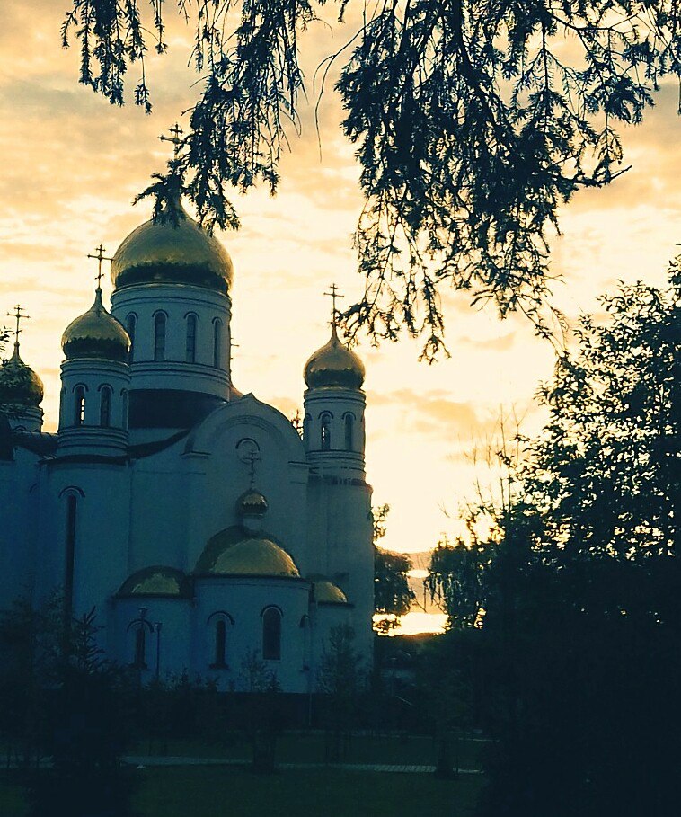 VK -27992616_277986