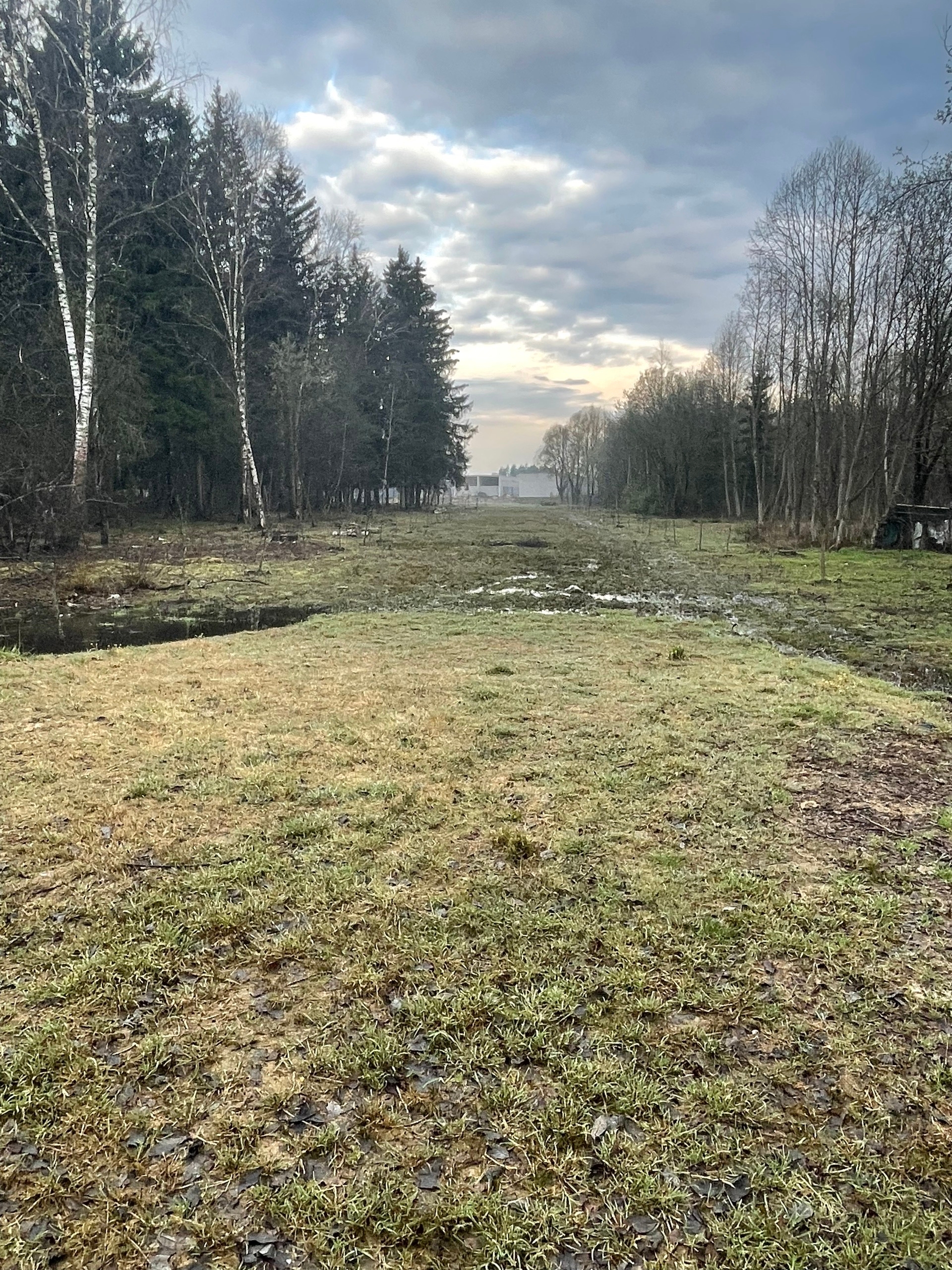 Фото 53455
