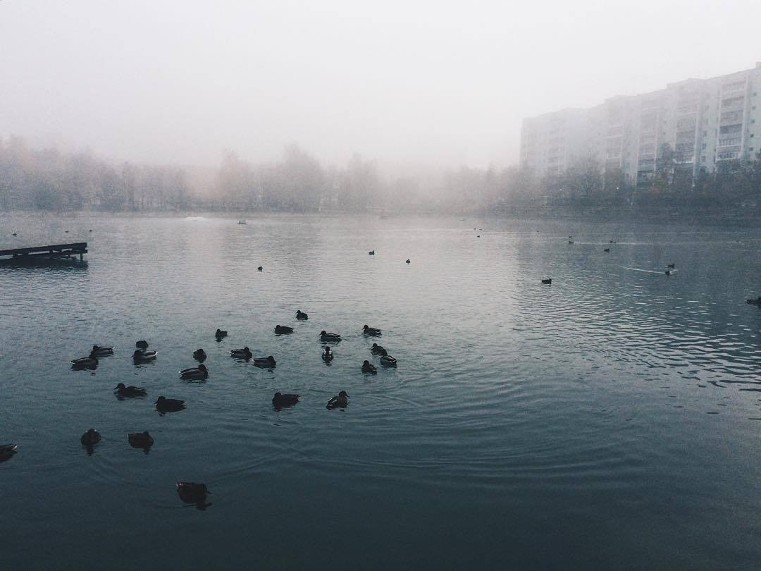 Октябрь 2015 ???? slobodchikova