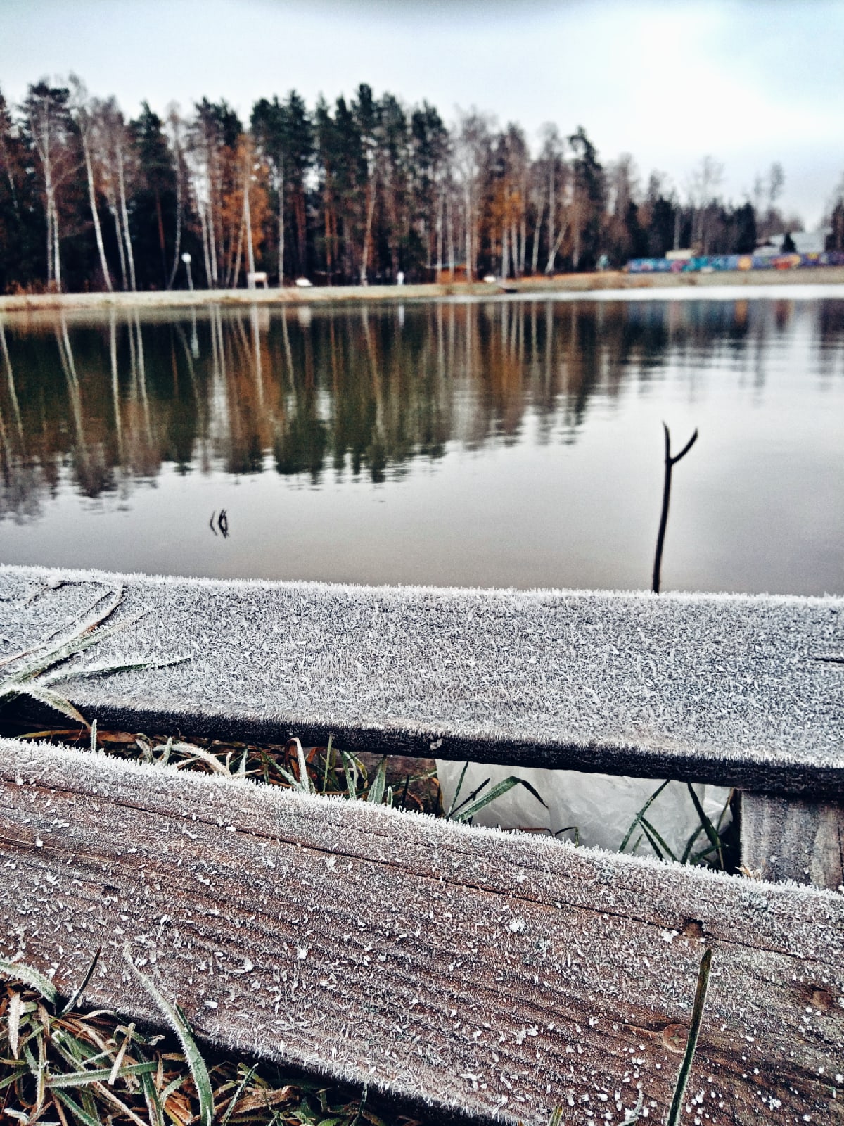 Морозное утро в Краснознаменске.  ???? Наталья Меняйлова