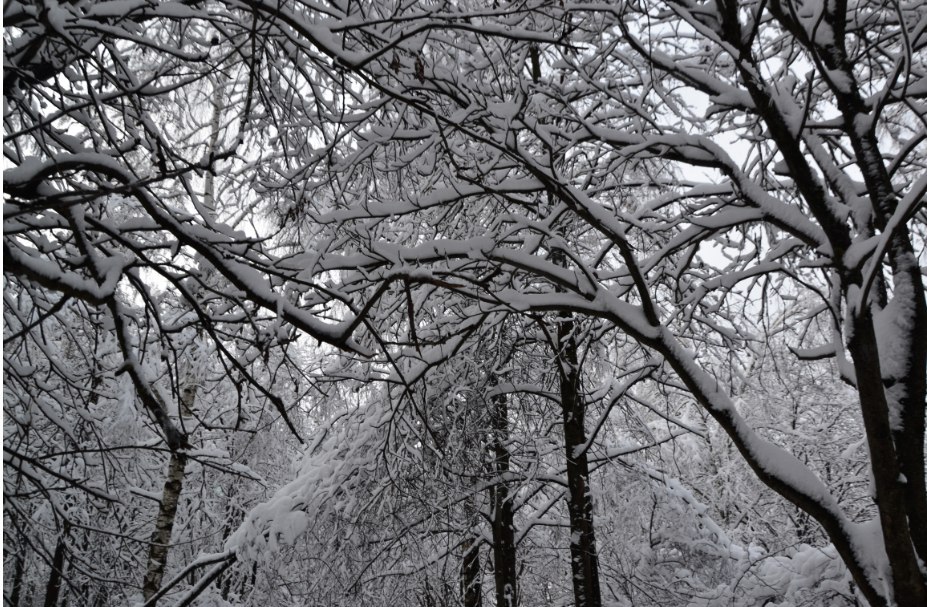 ❄ — Краснознаменск