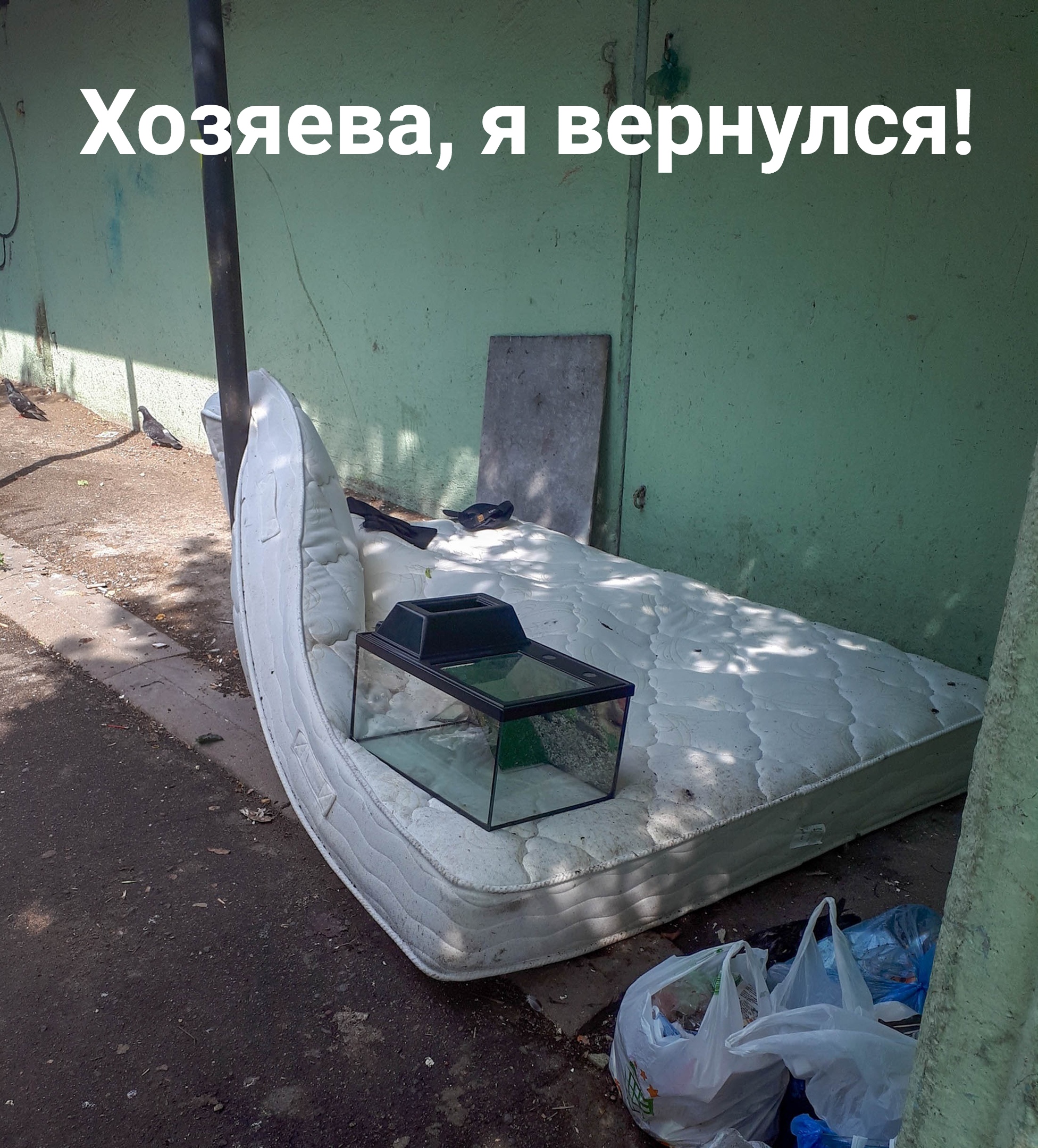 Гастрольный тур продолжается?