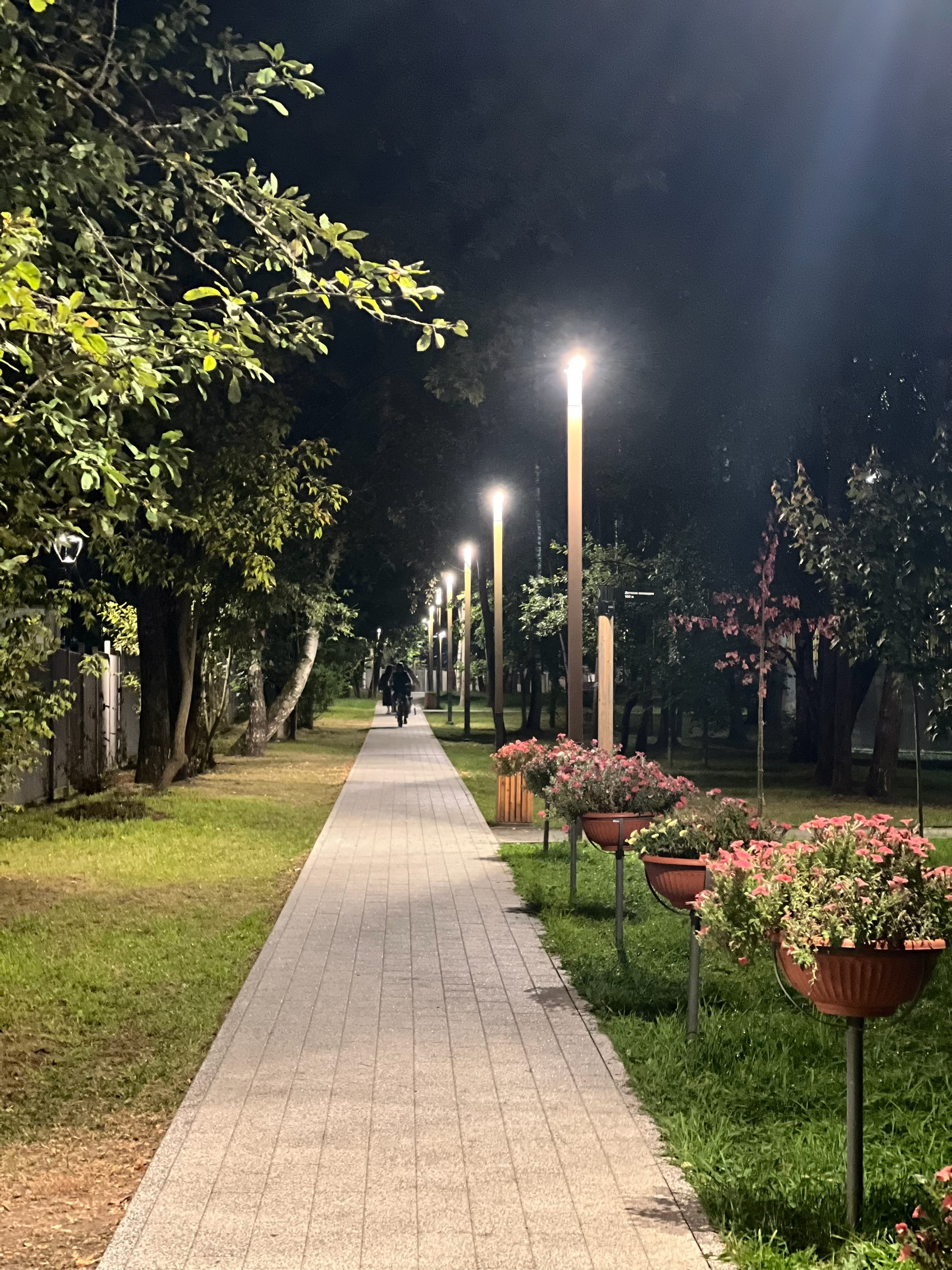 Город в свете фонарей — Краснознаменск