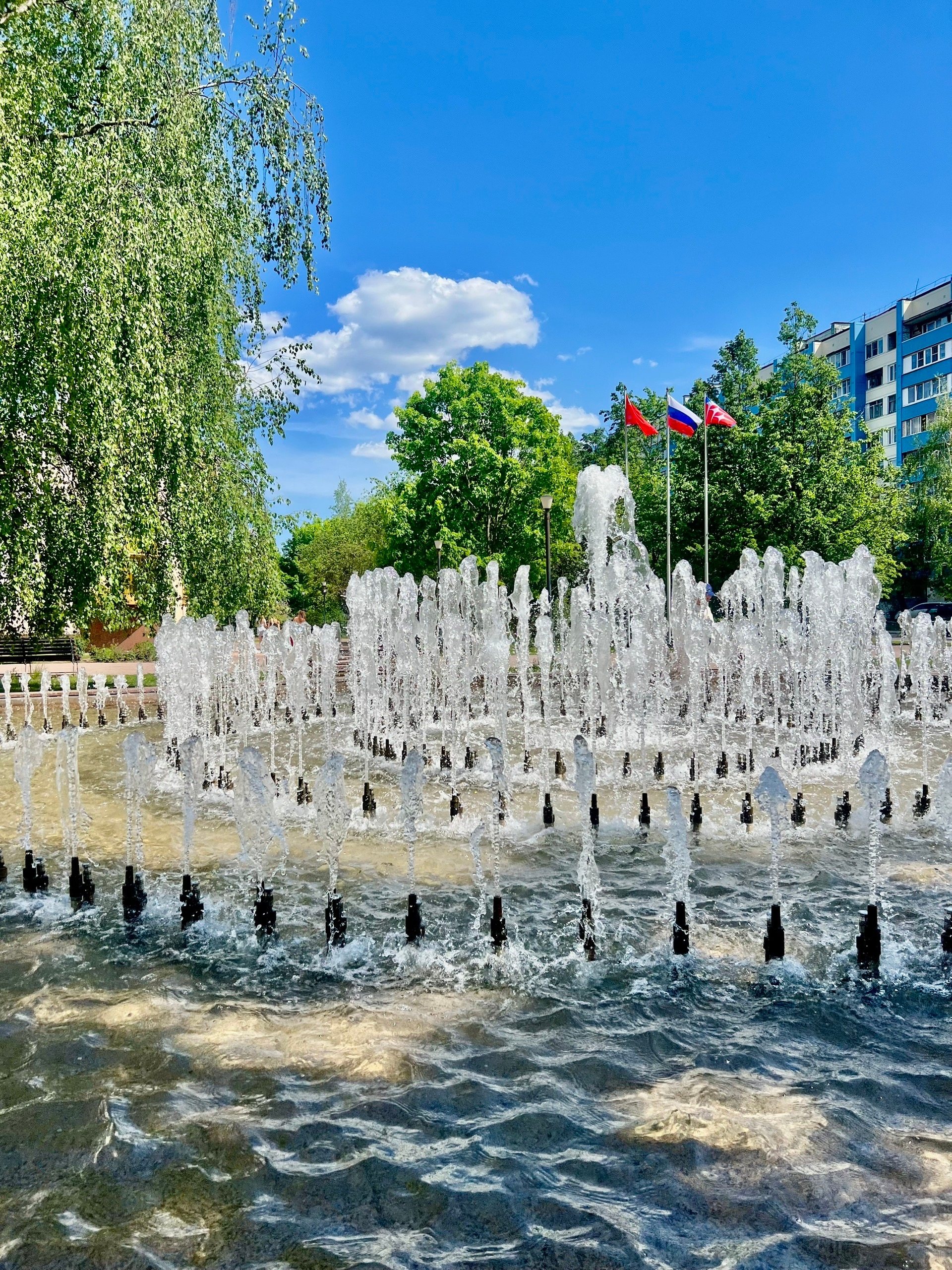 Фото 54050 — Краснознаменск