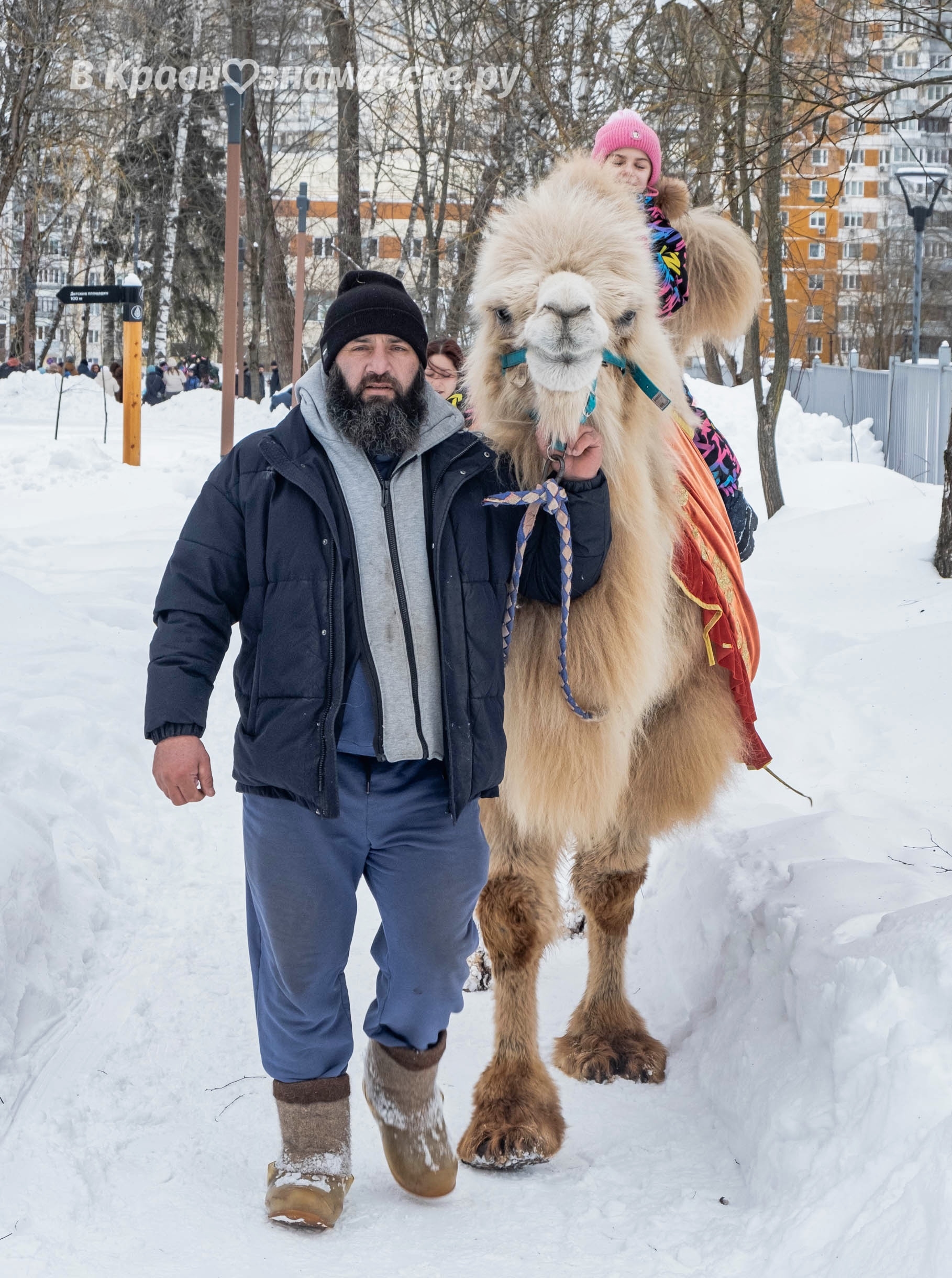 Быстрое меню — Краснознаменск