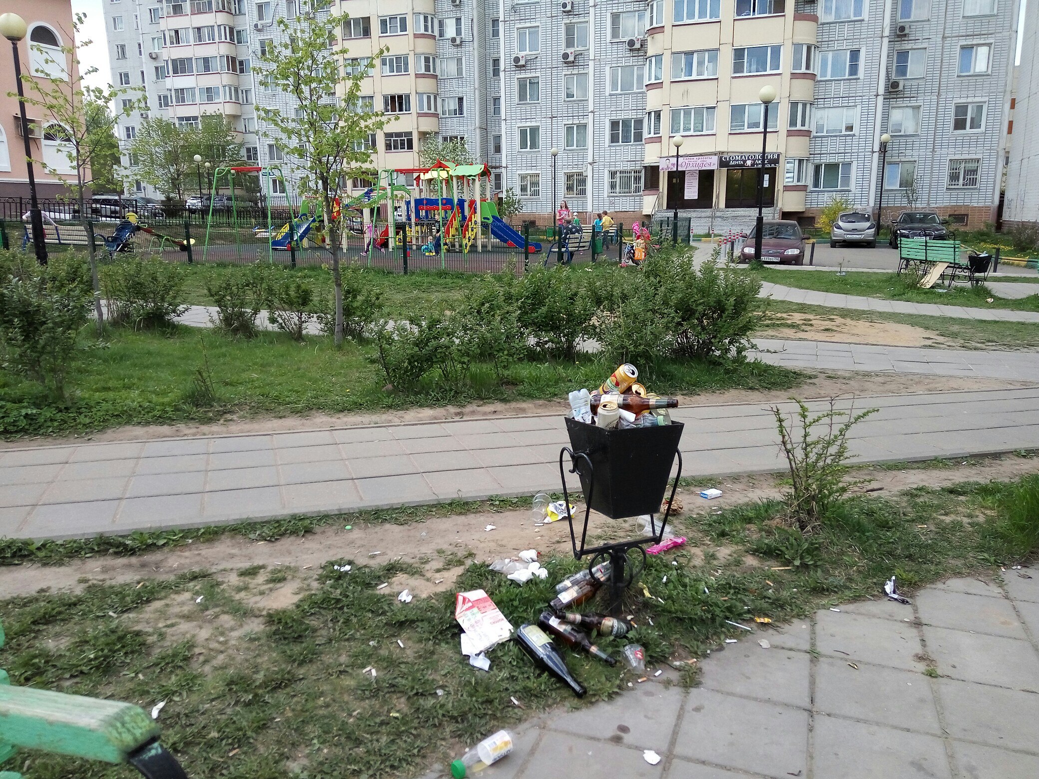 У нас всегда было так живописно в местах для отдыха? Или что