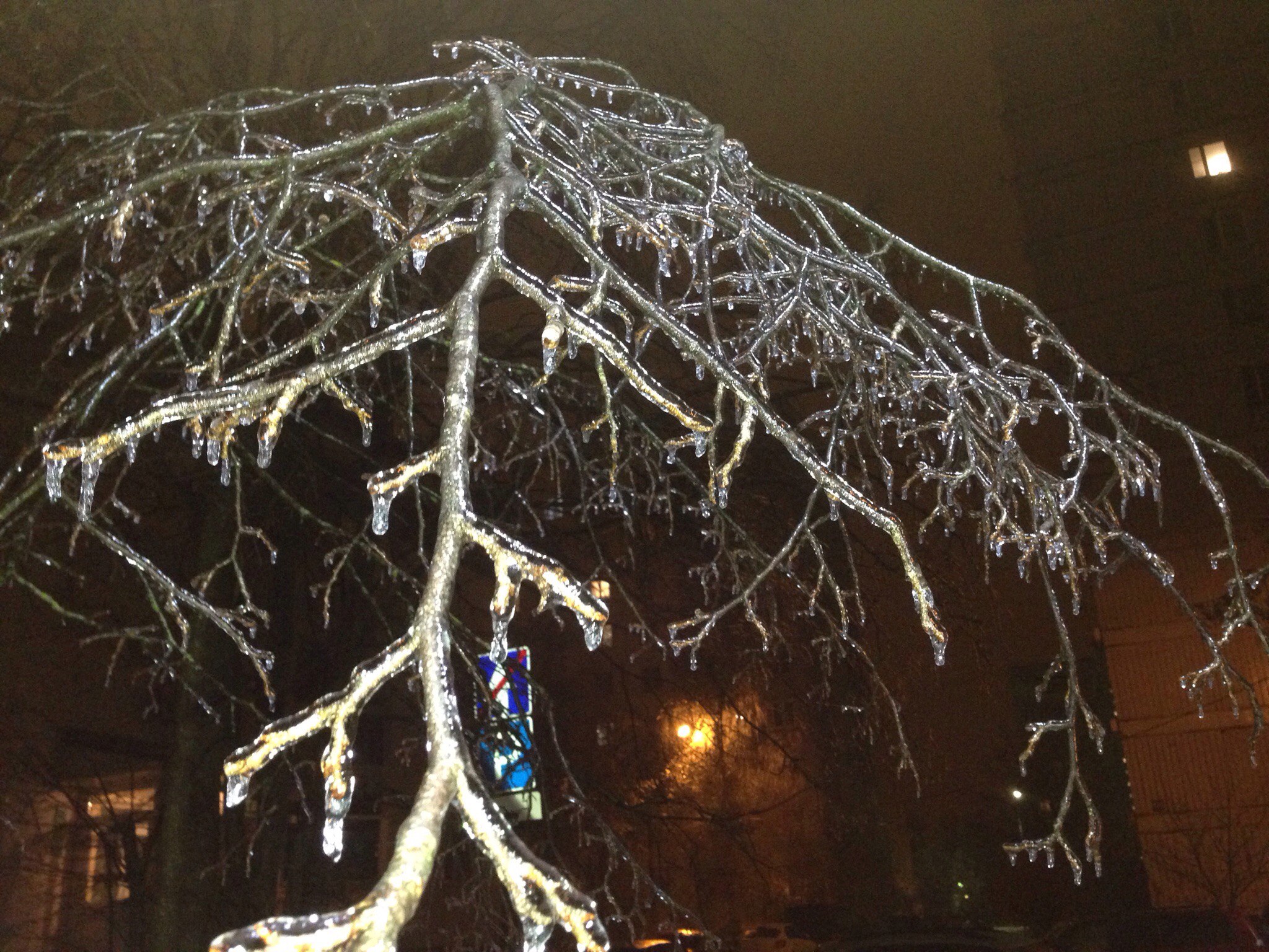 ❄️❄️❄️ — Краснознаменск
