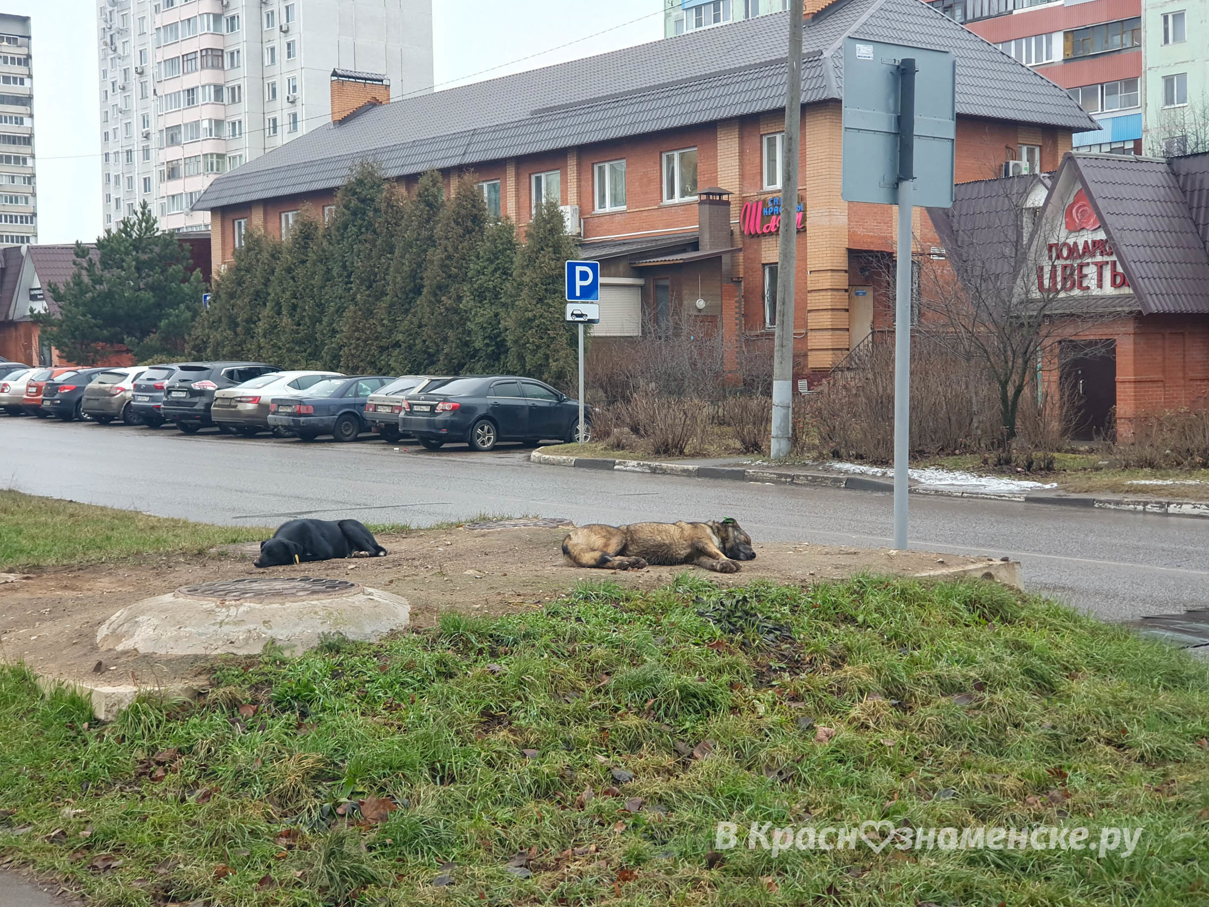 Угадай месяц по фото