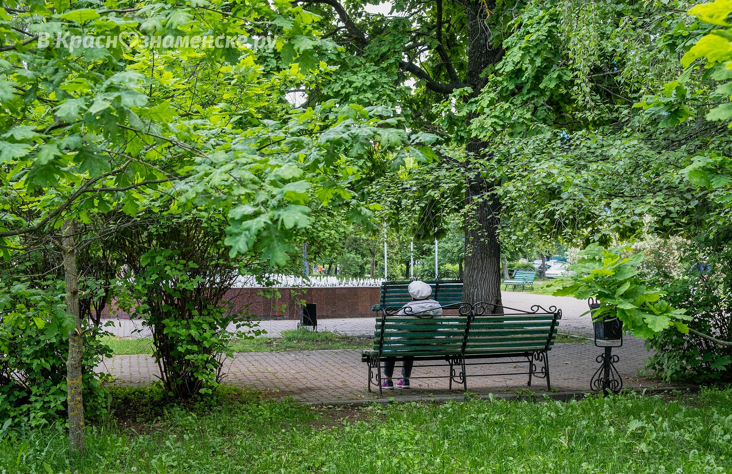 Прогулка по улицам Краснознаменска