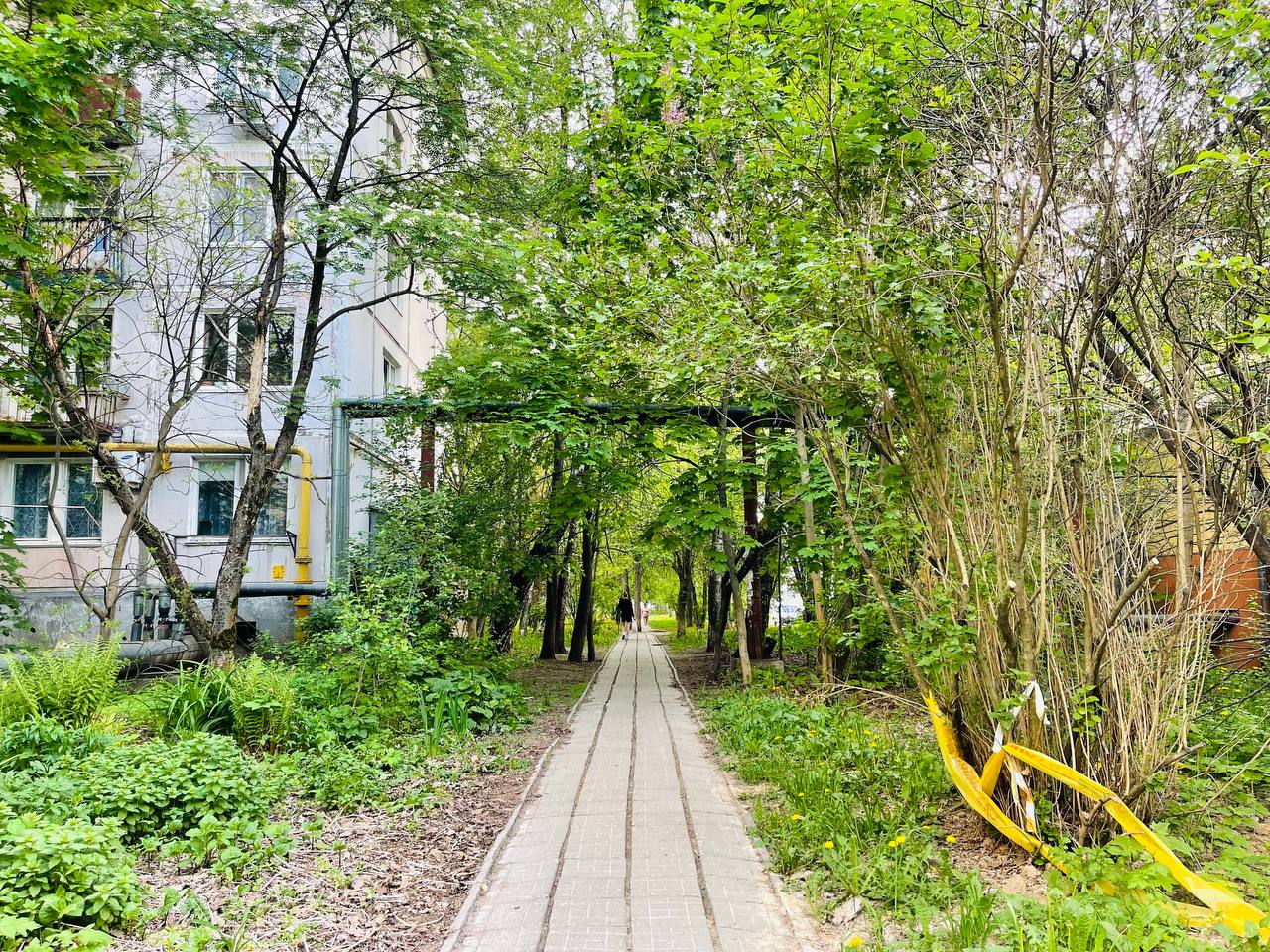 Майская прогулка по городу — Краснознаменск