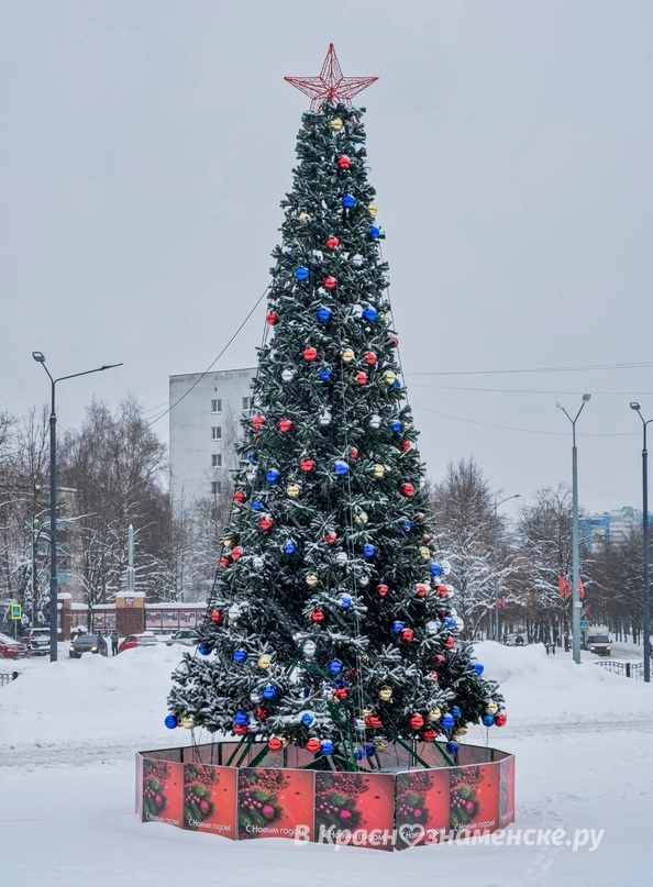 Доброго утра вам в Новом году!