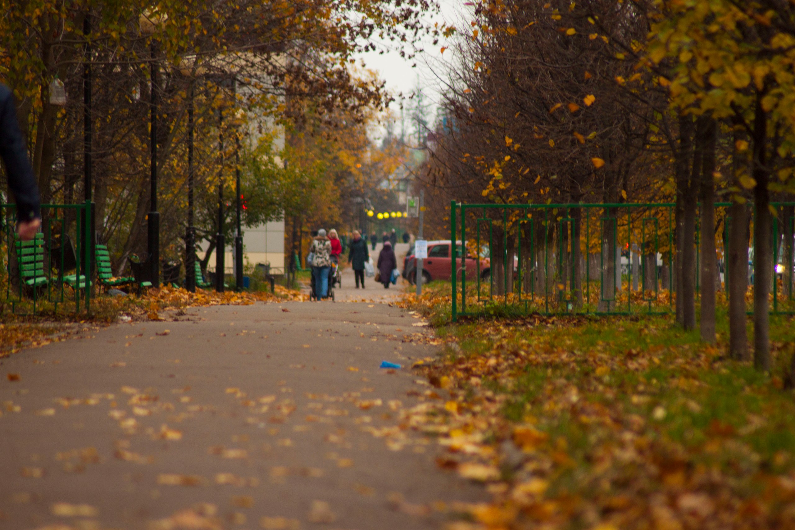 Фото 14185 — Краснознаменск