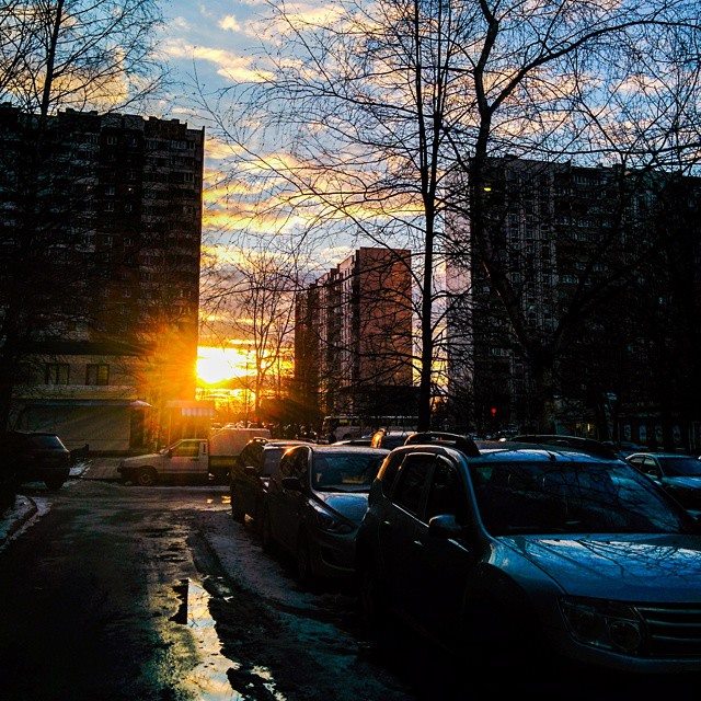 Автор фотографии Mikhail Serebrennicov