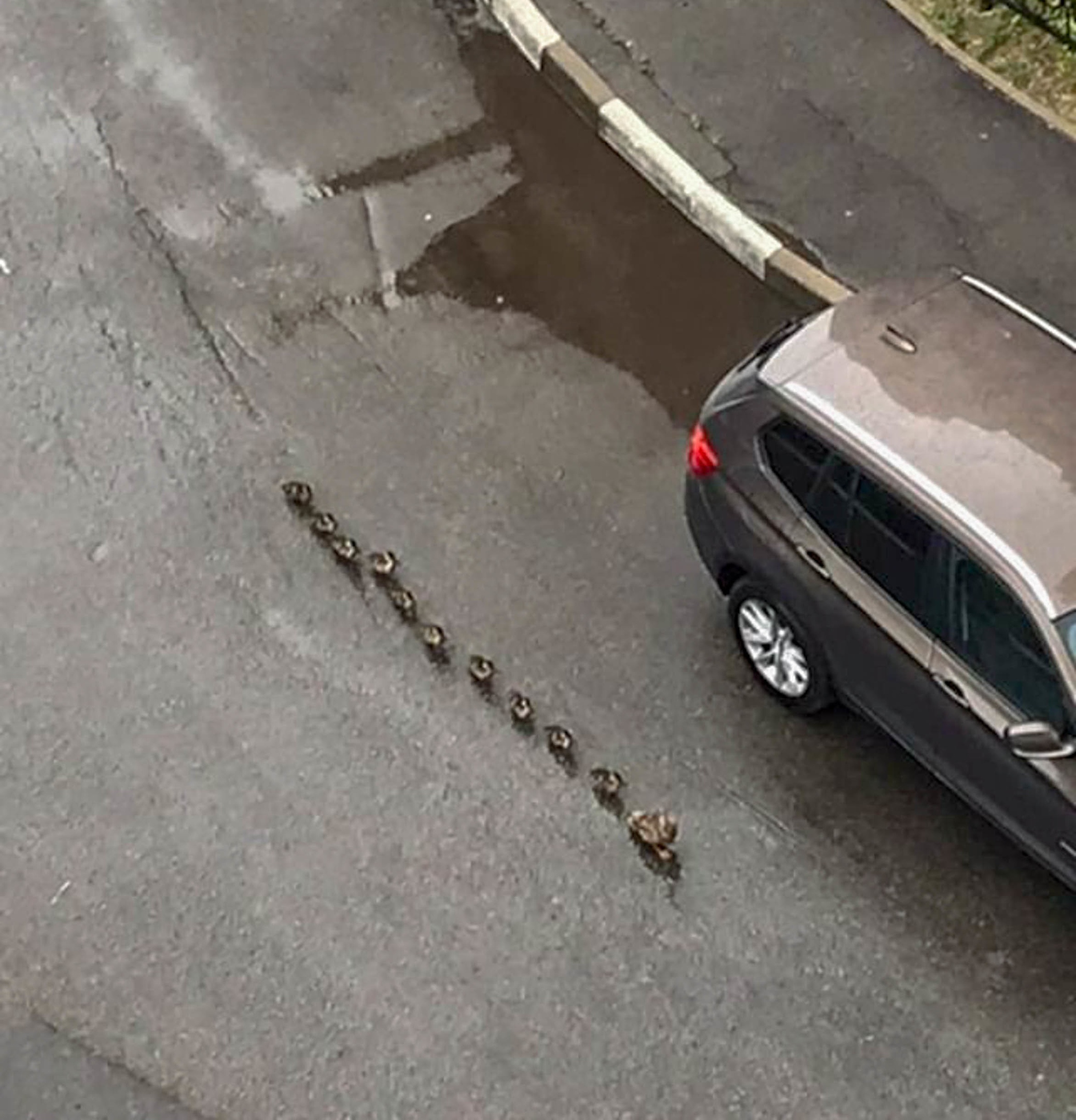 Придумайте название