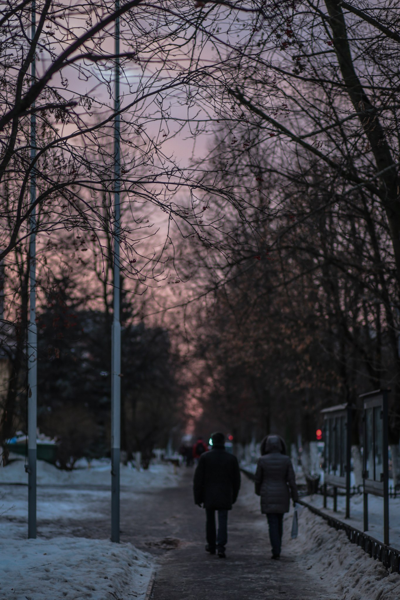 Фото 9504 — Краснознаменск