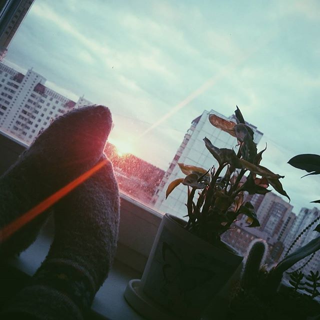 [club27992616|Доброе утро Краснознаменск!] Автор фотографии