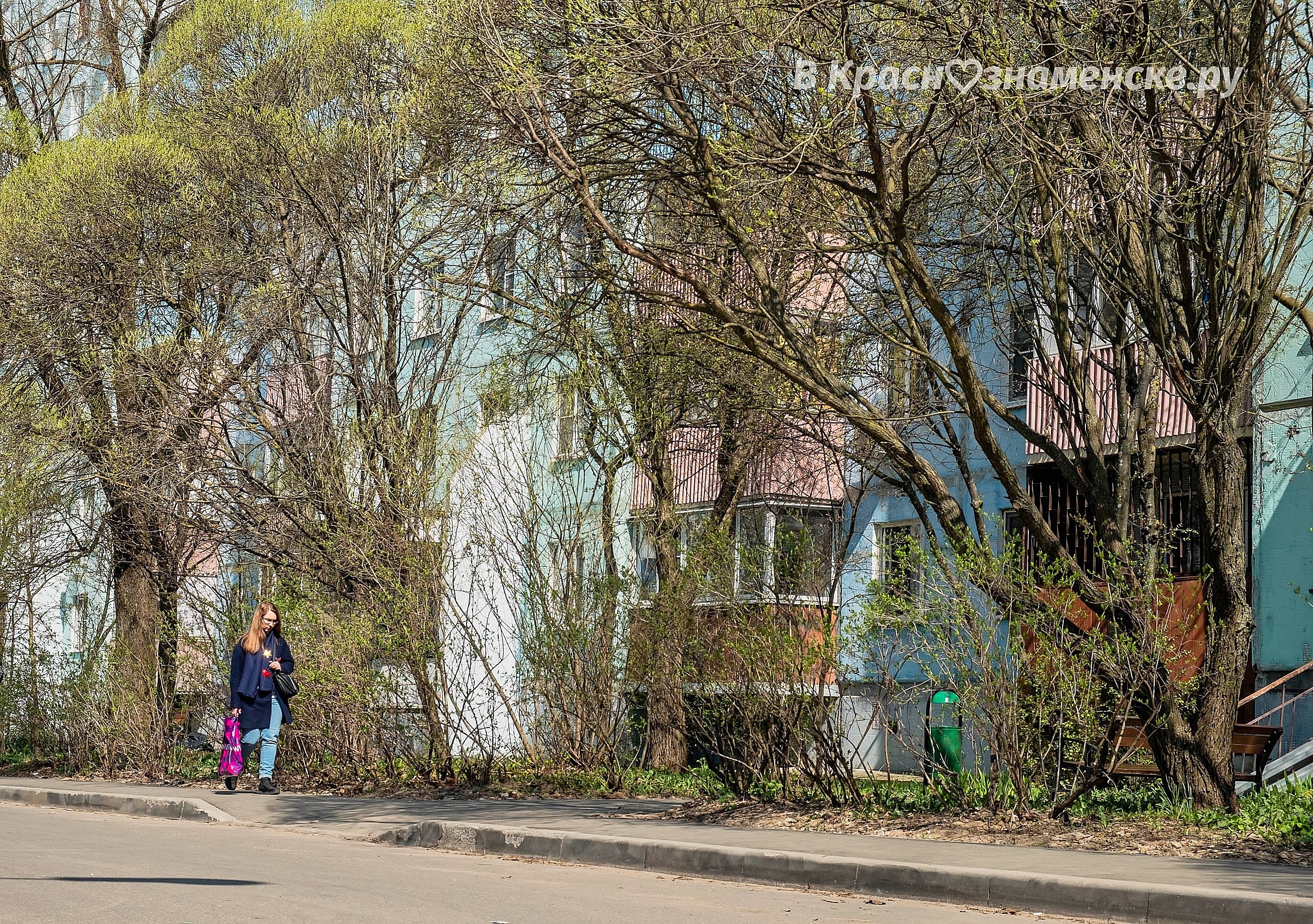 Доброе утро, Краснознаменск! Благоприятного вам дня)