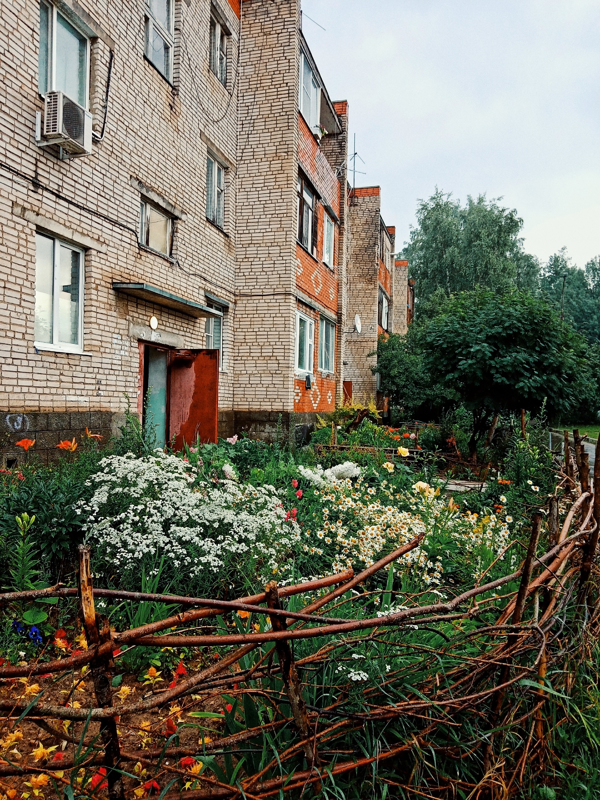 Дождливое утро ☔ — Краснознаменск