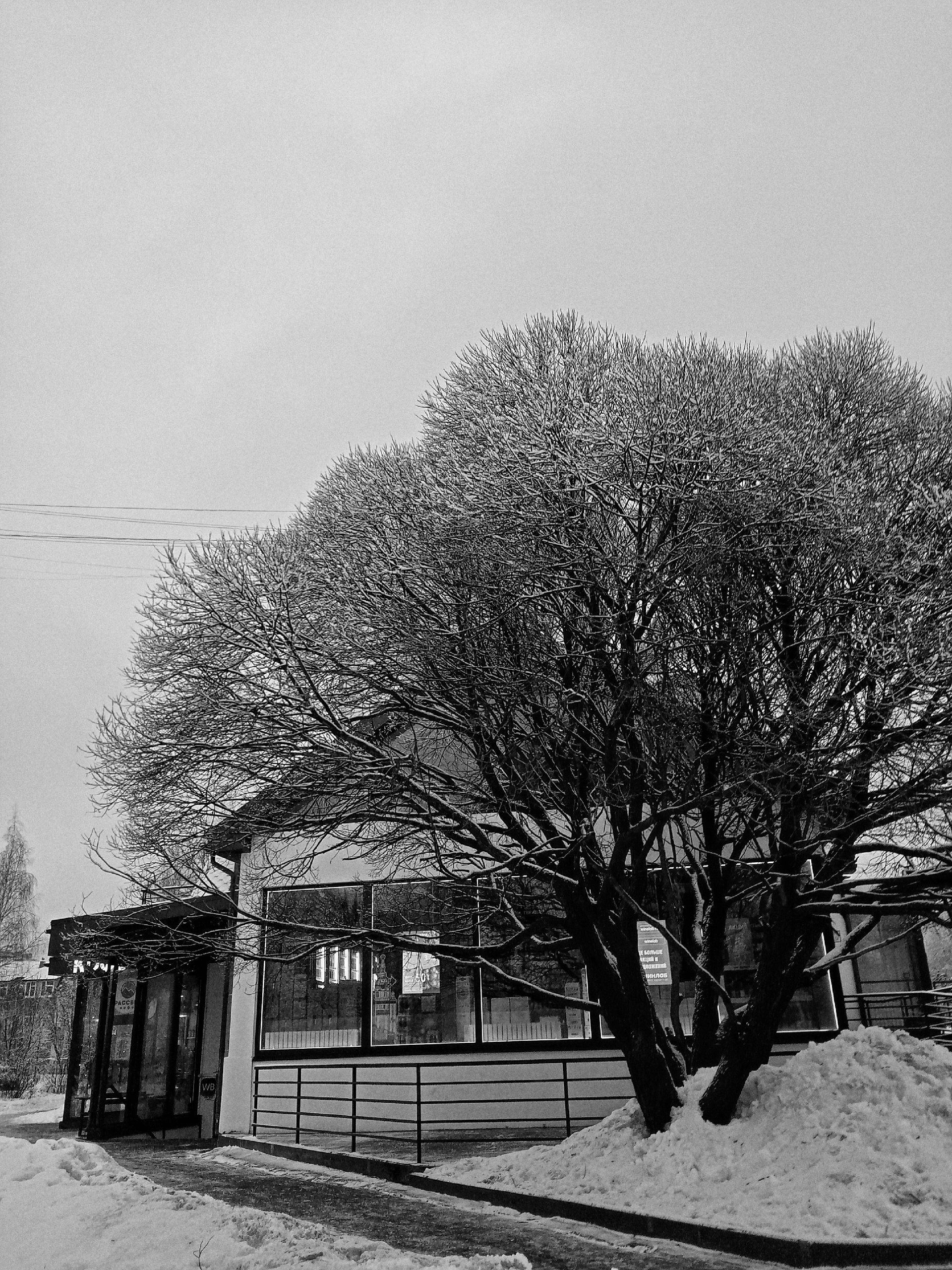 Утро. — Краснознаменск