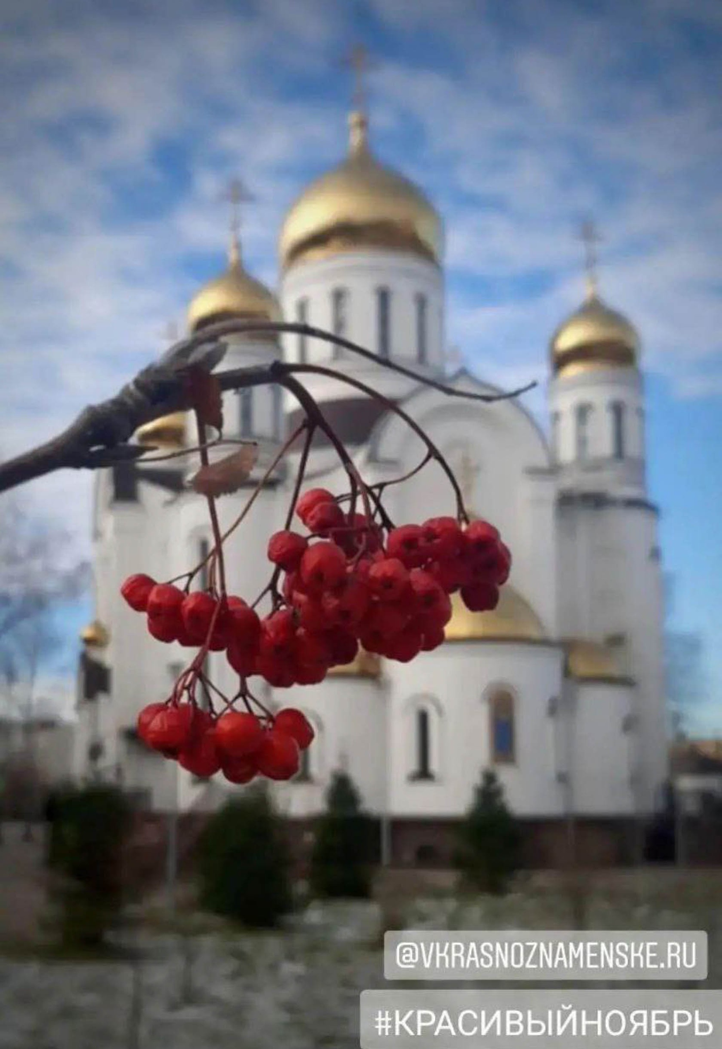 ????_polesya