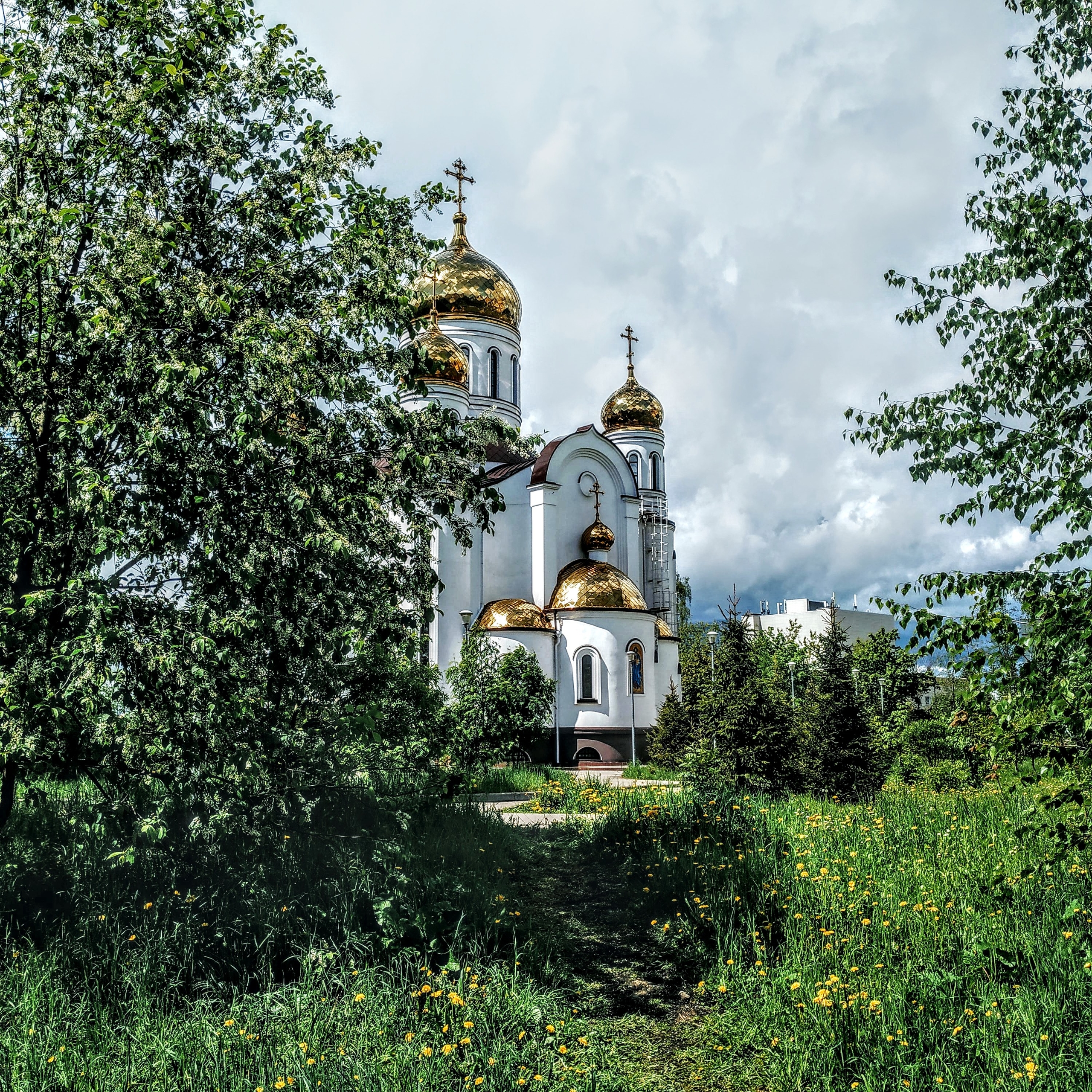 ???? Виталий Денисов