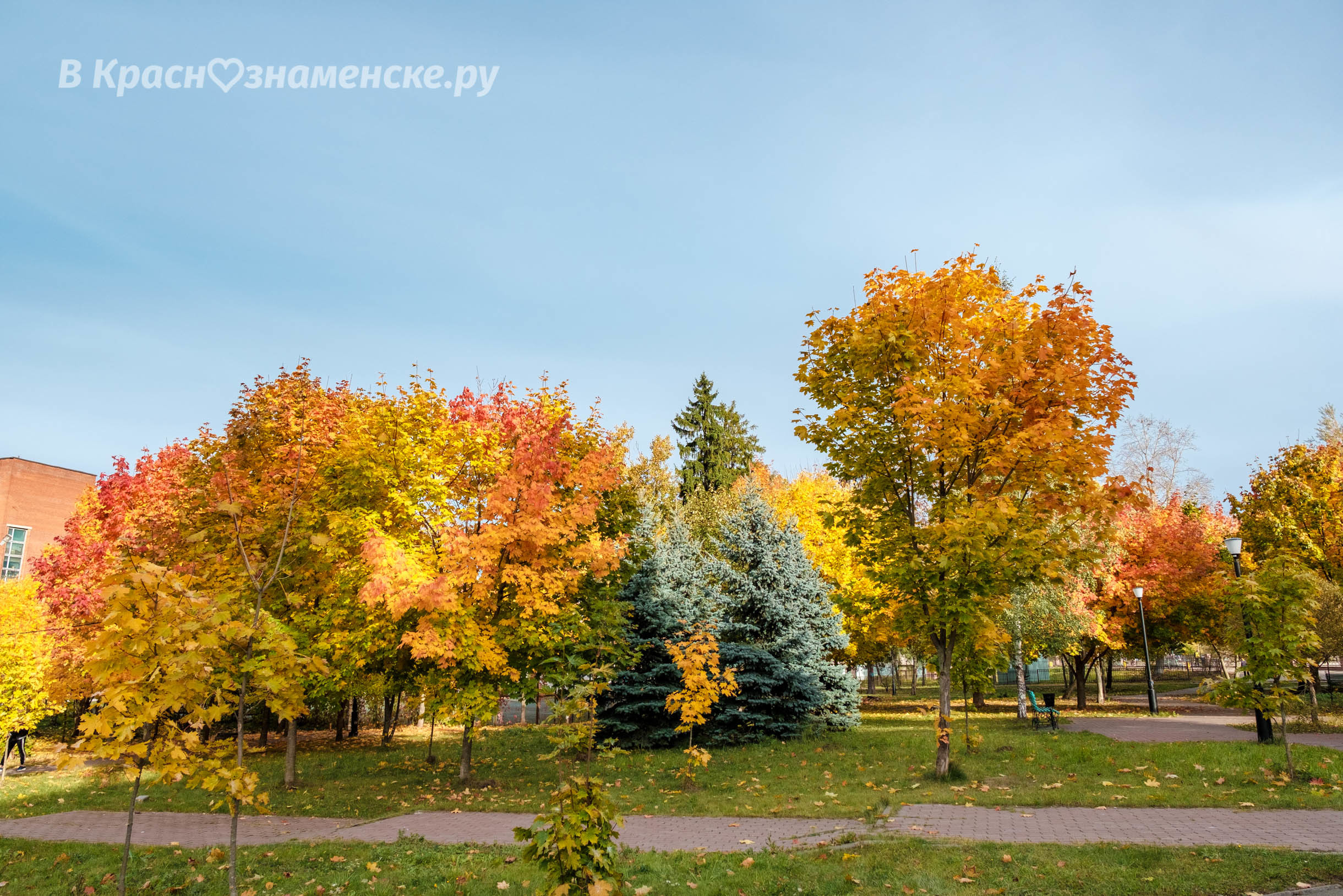 Краски осени