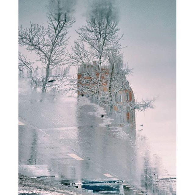 Автор фотографии aloe_nebo