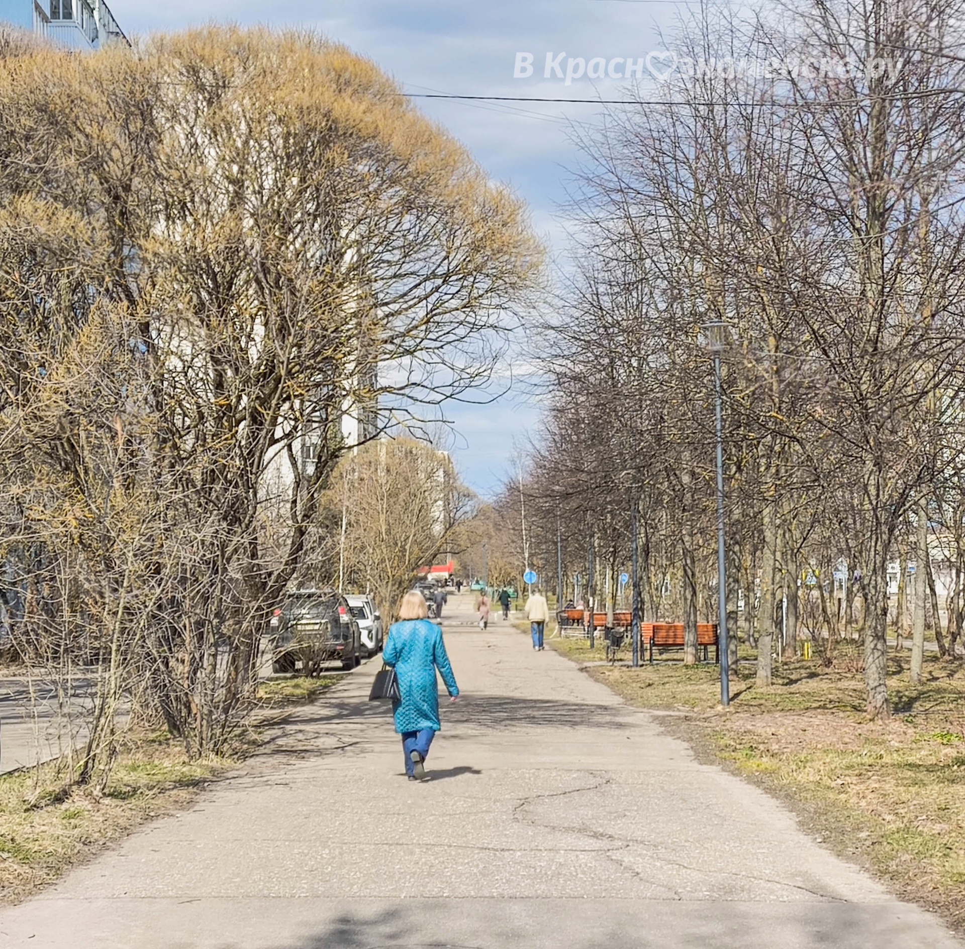 Весенняя прогулка по улицам города — Краснознаменск