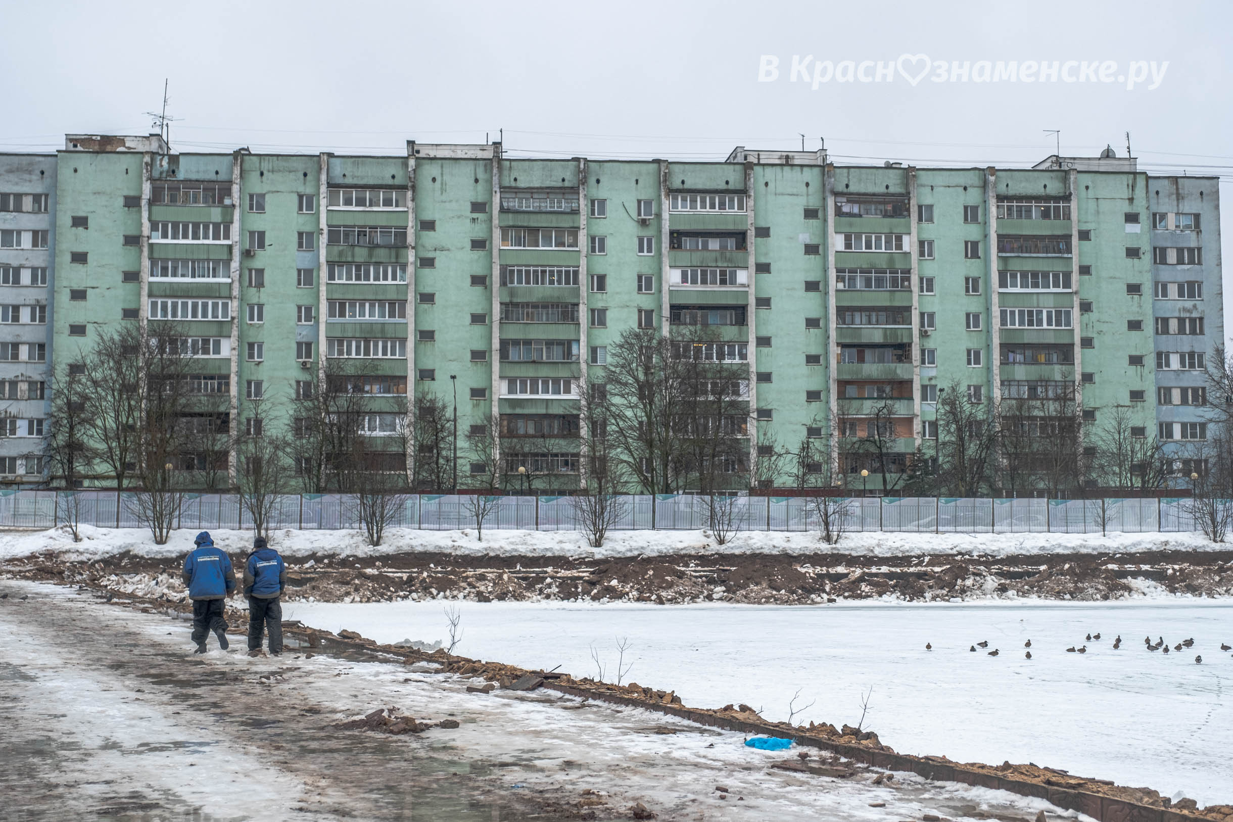 Коротко о том, что сейчас происходит на старом озере — Краснознаменск