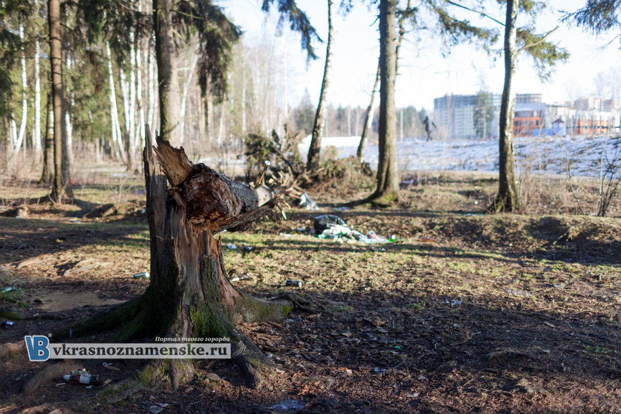 Быстрое меню — Краснознаменск