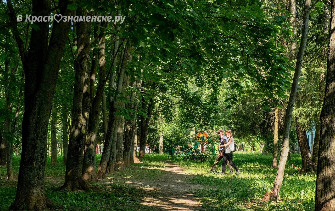 Доброе утро, Краснознаменск! Спокойного и приятного вам дня!