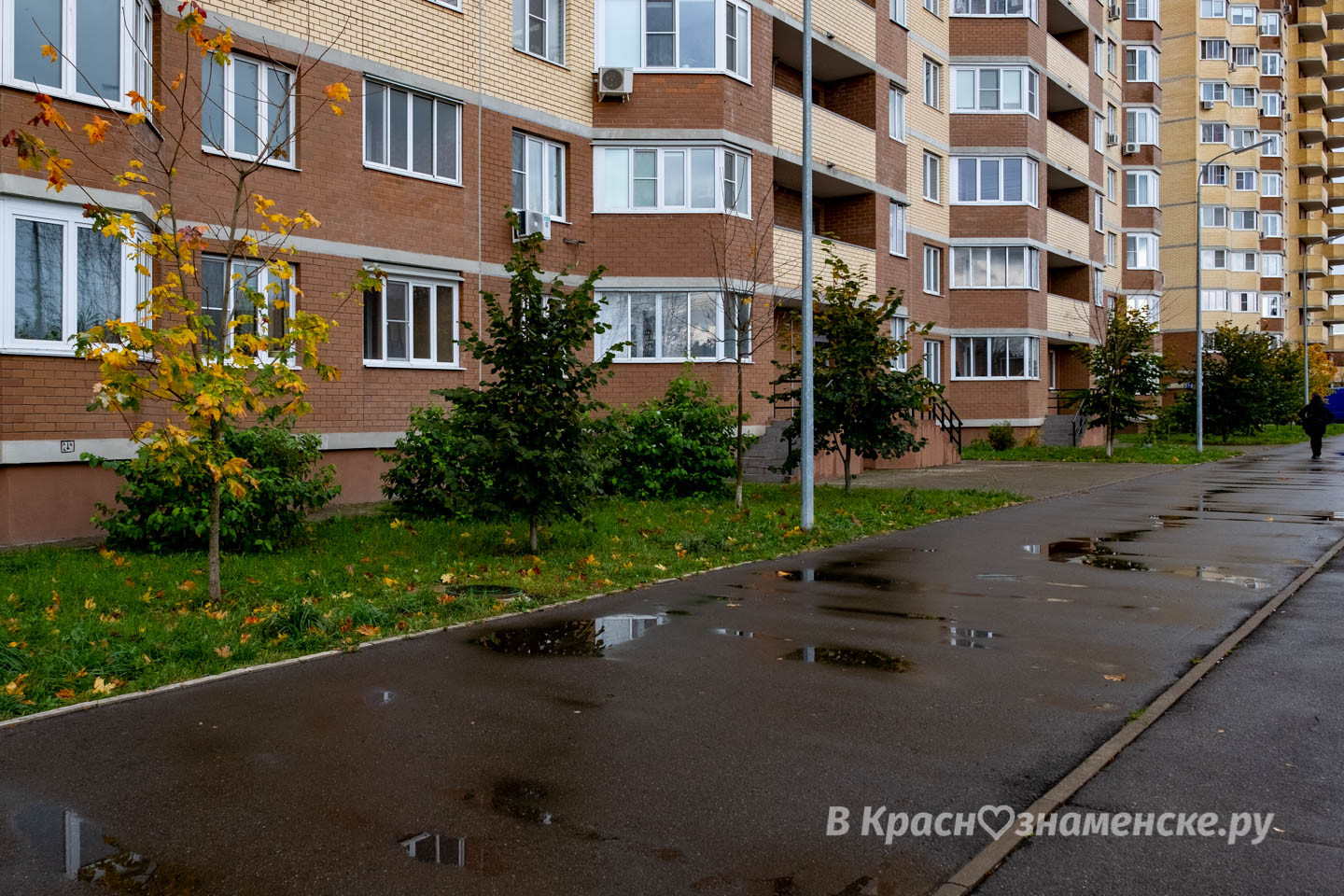 Доброе утро, Краснознаменск! Утром, 0°…+2°, Пасмурно, Давлен