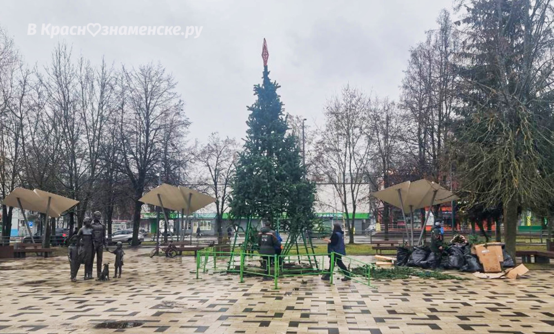 На площади Семьи устанавливают елку — Краснознаменск