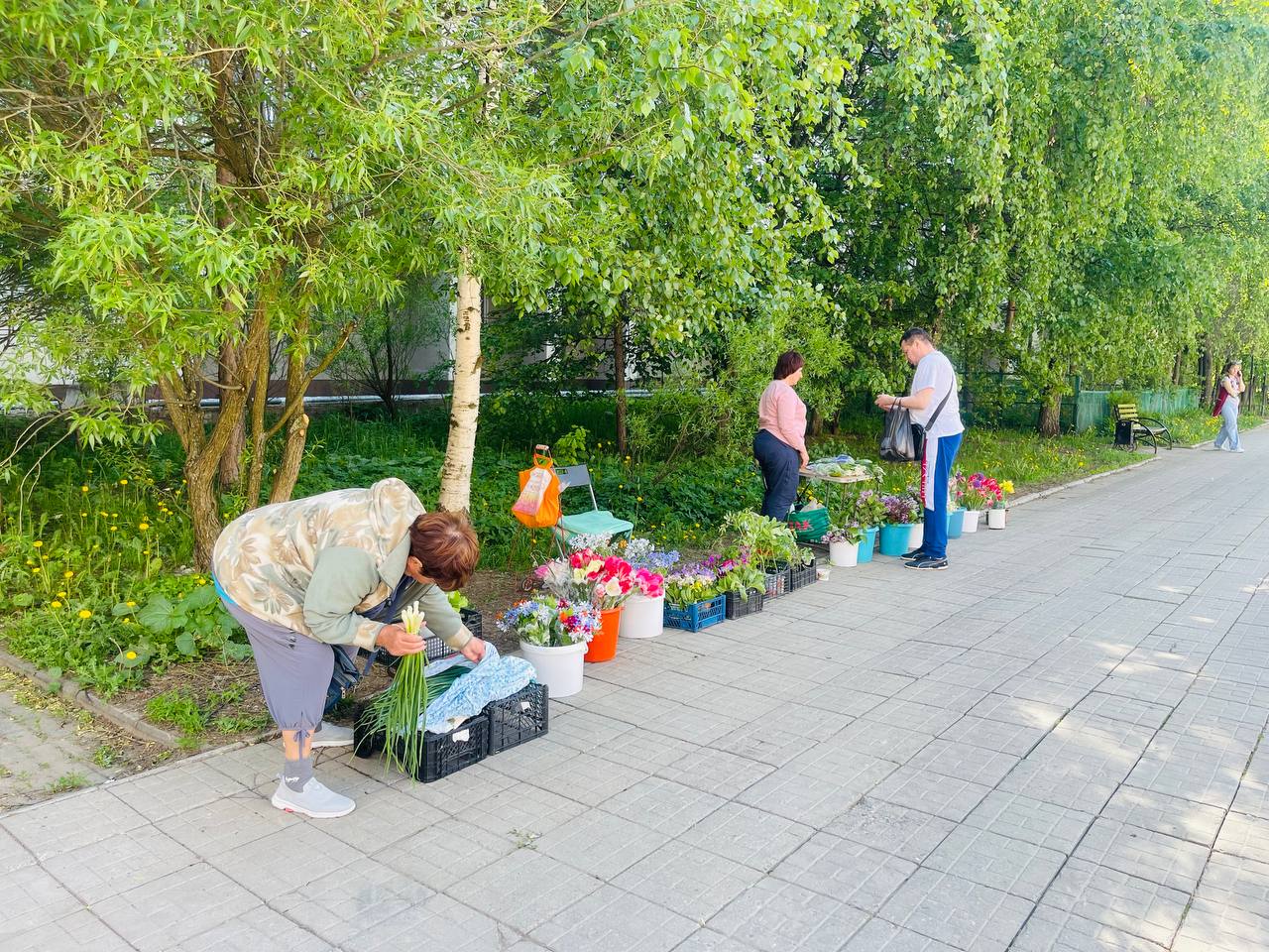 Покупаете ли у торгующих бабушек около рынка? — Краснознаменск