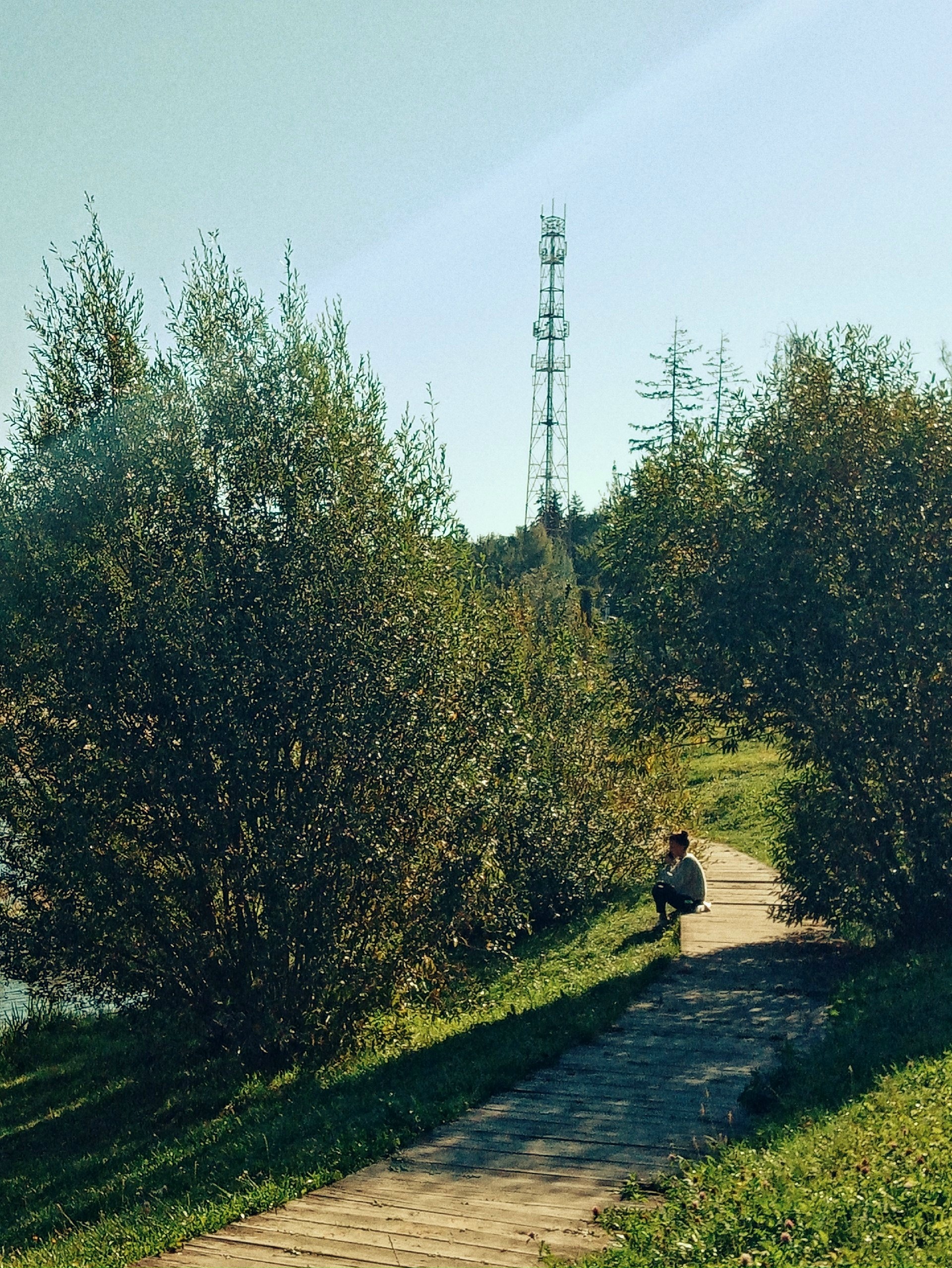 Утро в парке.