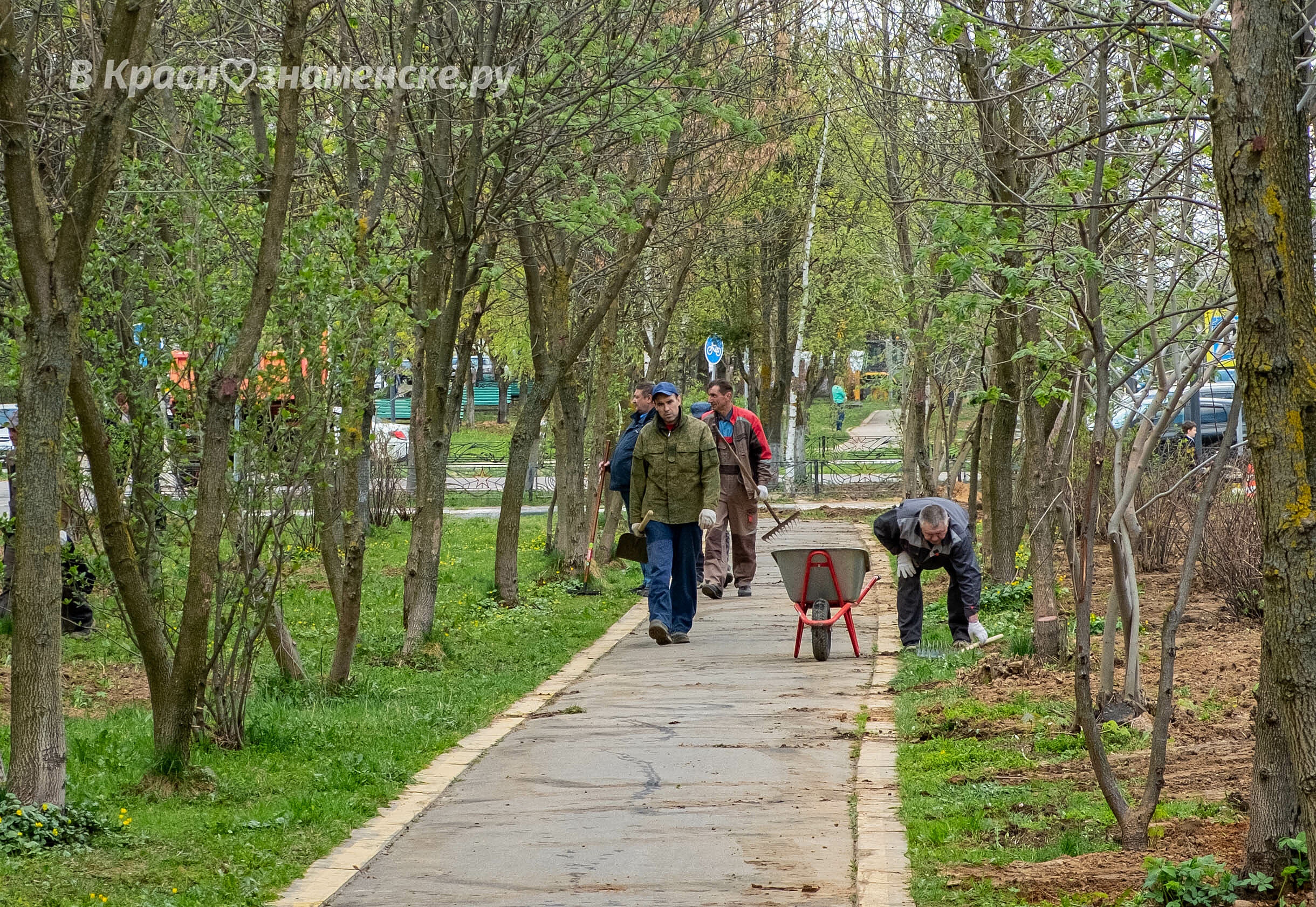 Фото 37910 — Краснознаменск