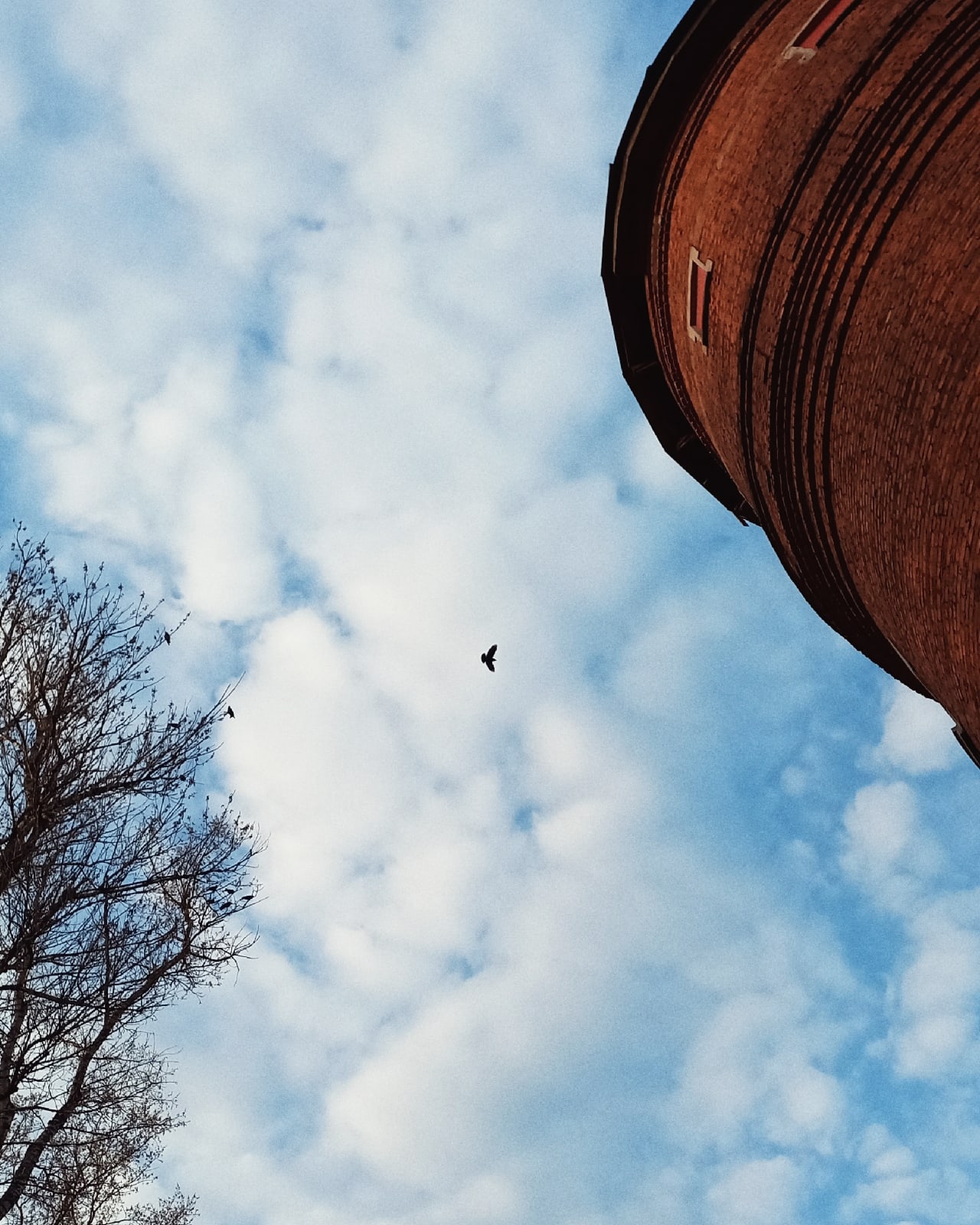 Городское — Краснознаменск