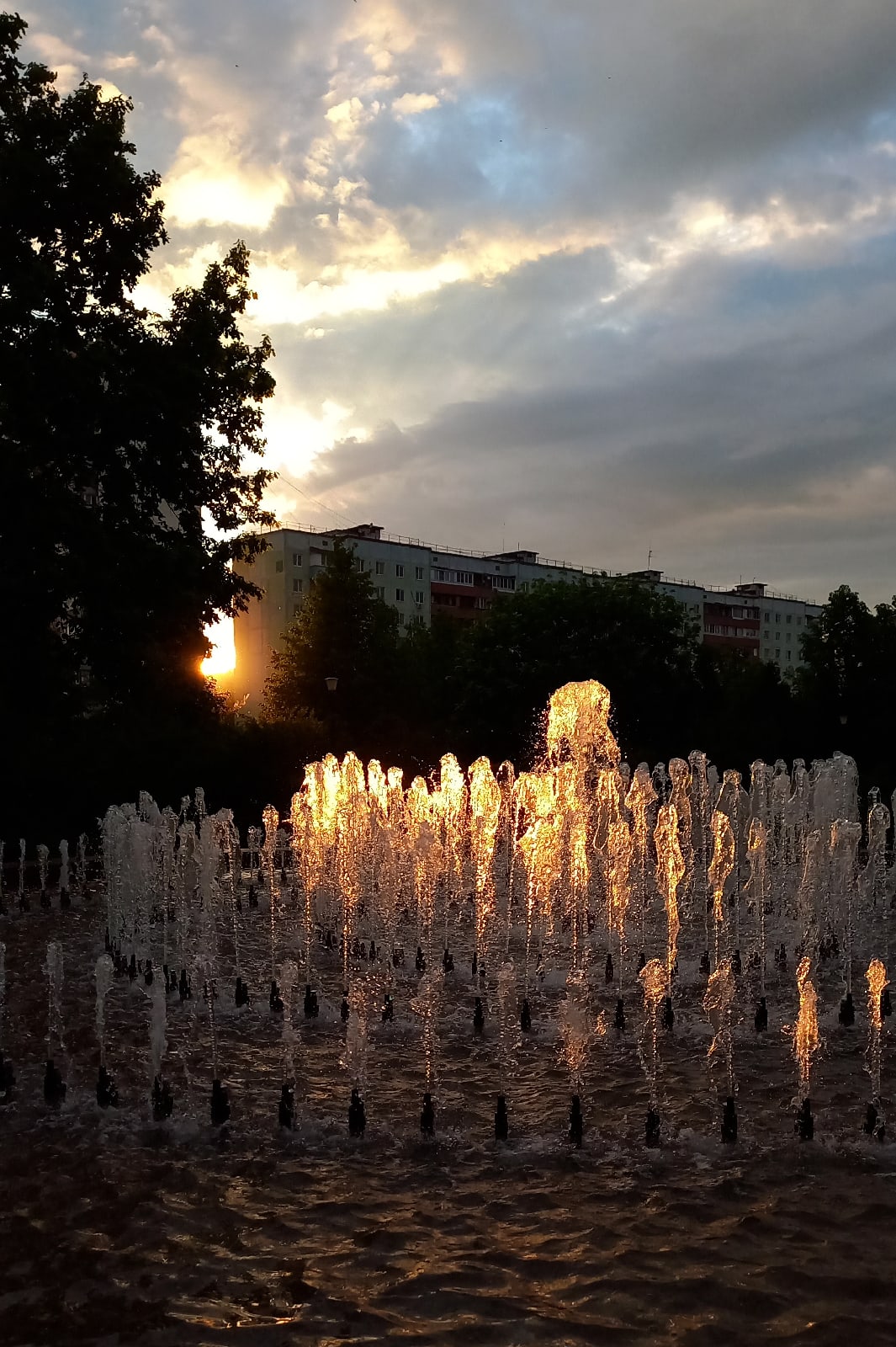 В закатном свете — Краснознаменск