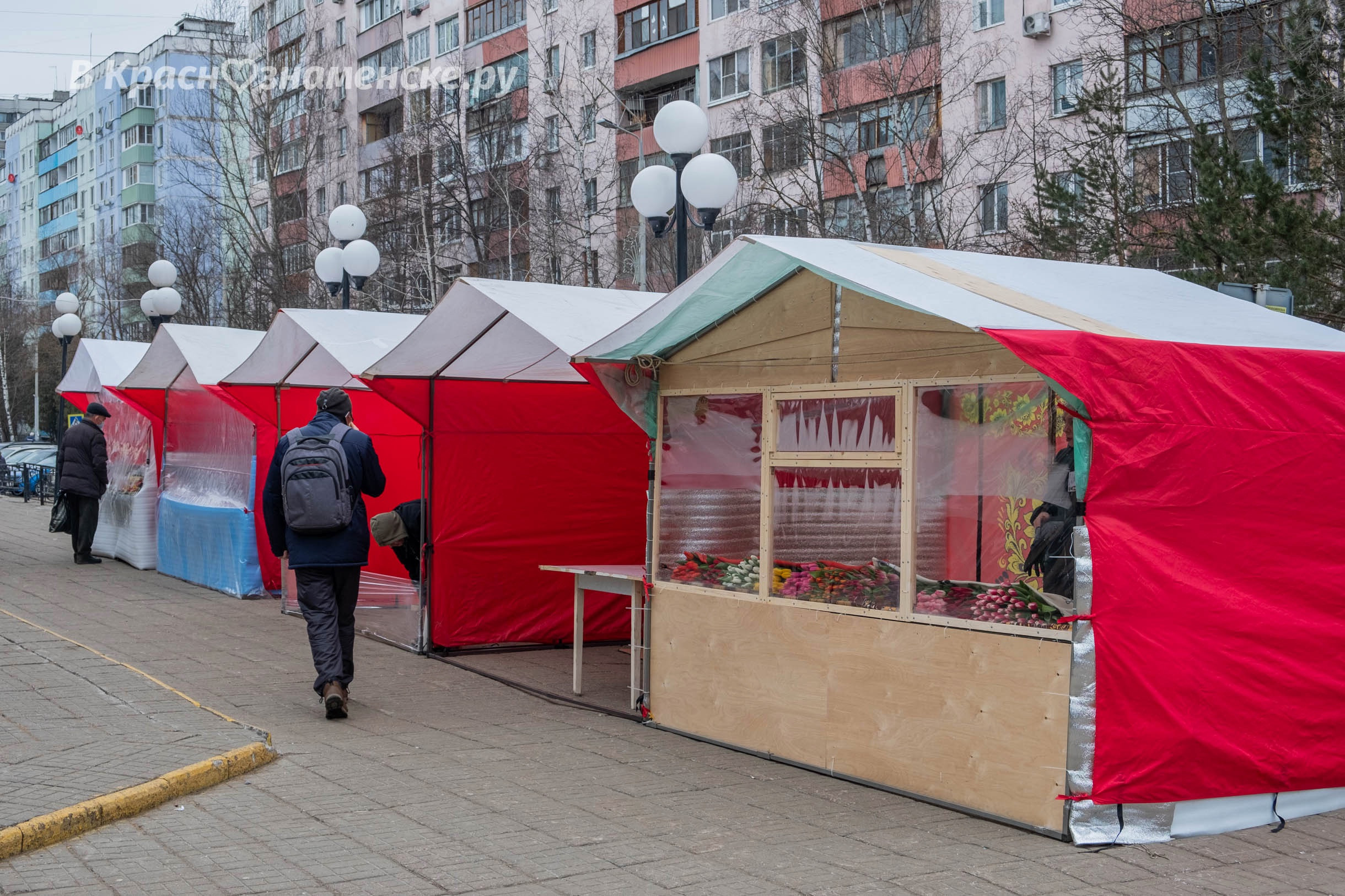 У Центрального рынка заработал цветочный базар.  Тюльпаны та