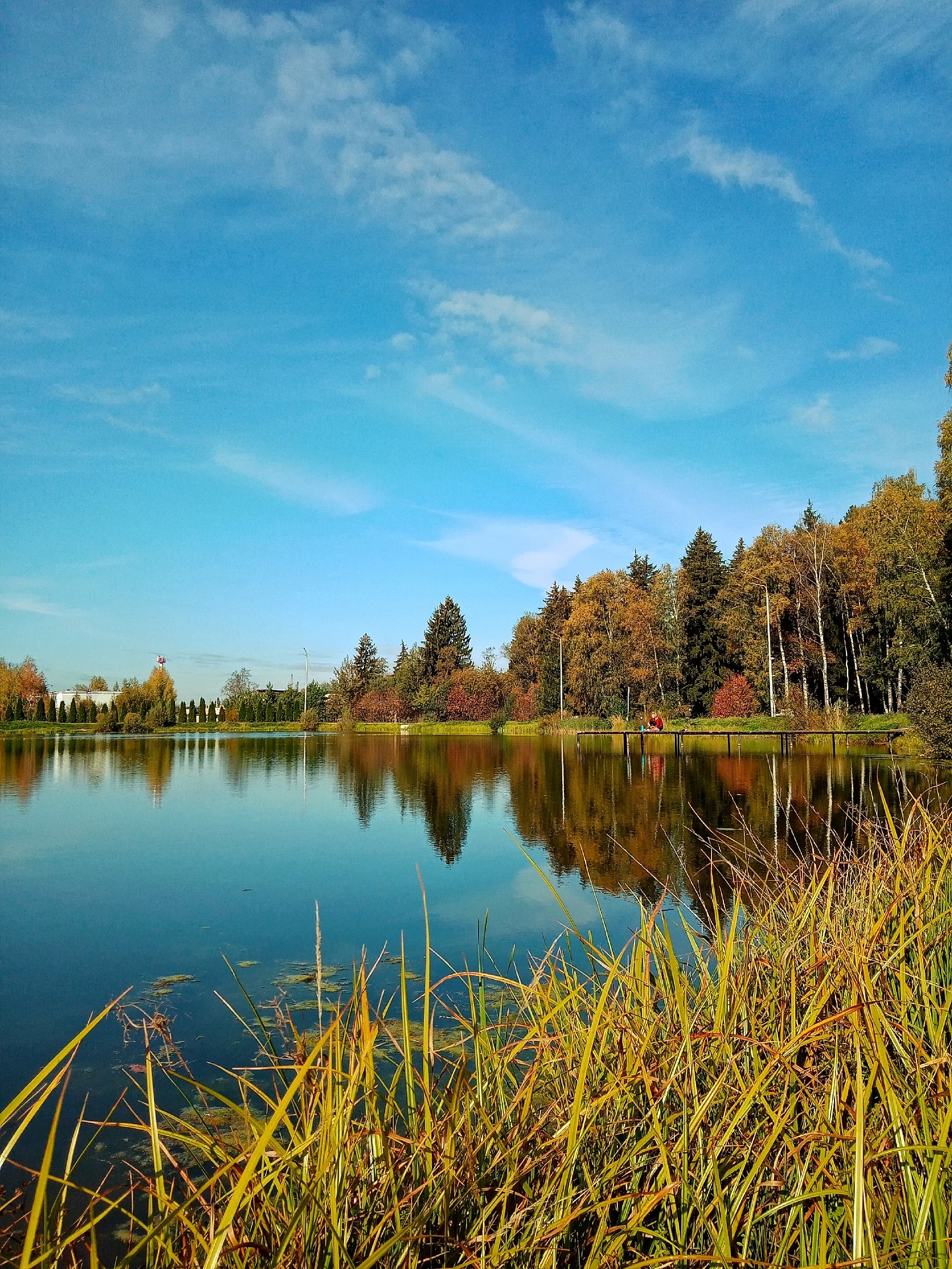 В парке.