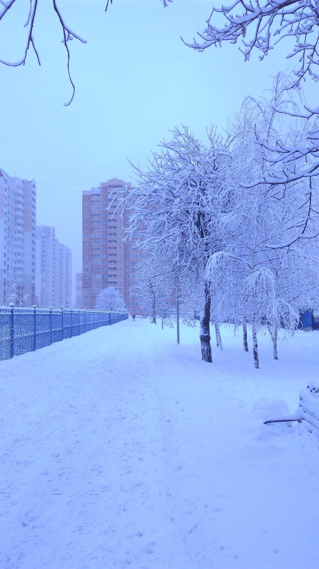 Сказочная зима ❄️ — Краснознаменск