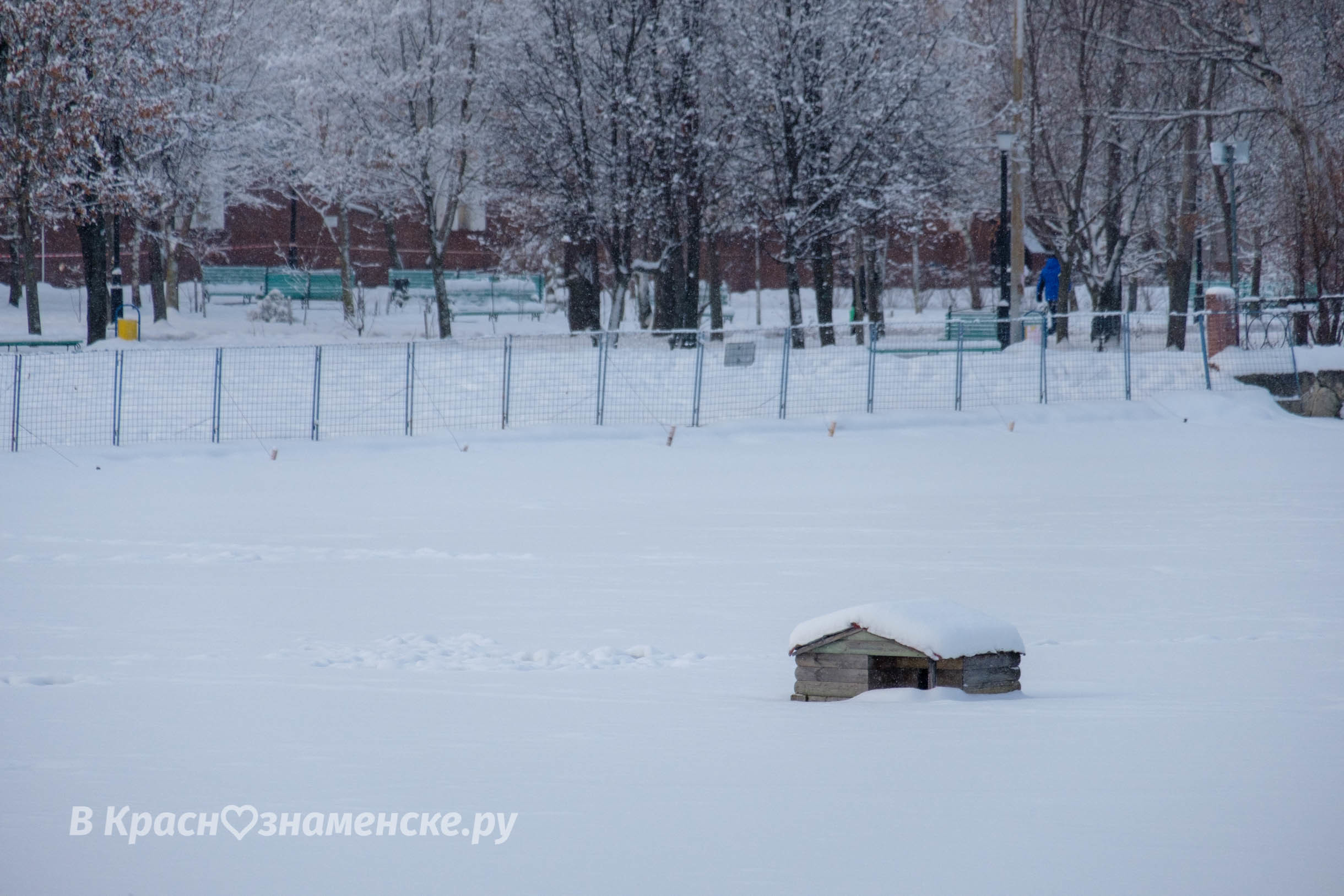 Доброе утро, Краснознаменск!❄ Утром -10°, Небольшой снег, Да