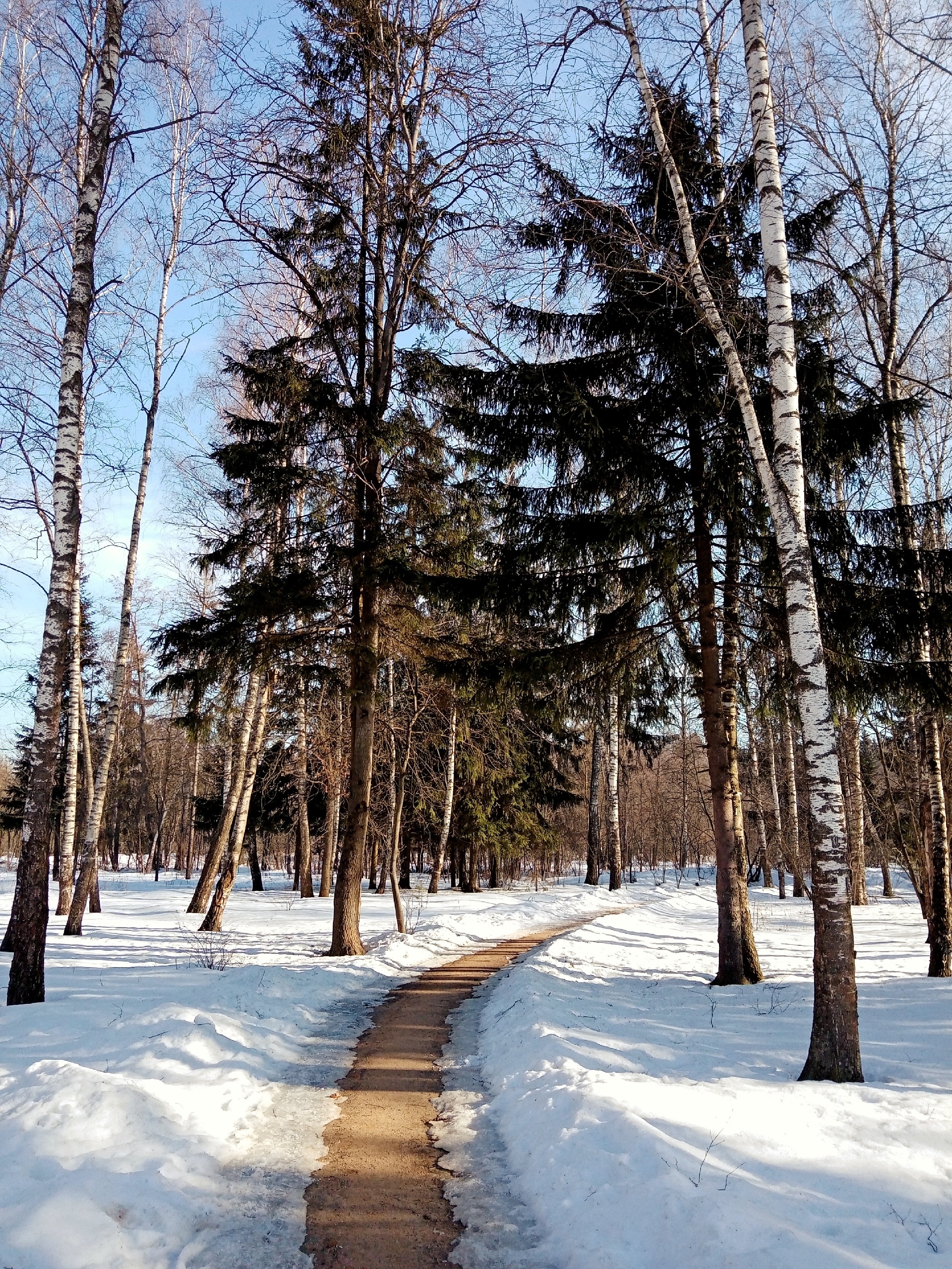 Парк Краснознаменска.