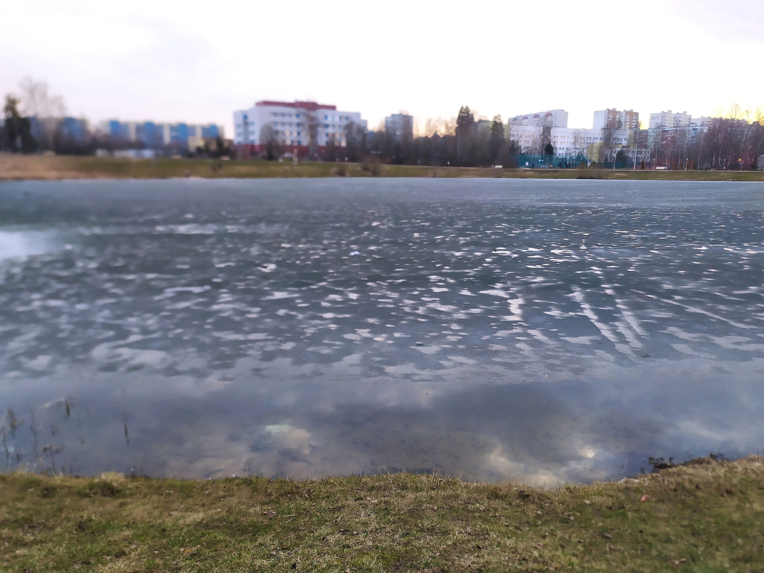 Извините но это не приемлемо видеть в пруду в котором купают