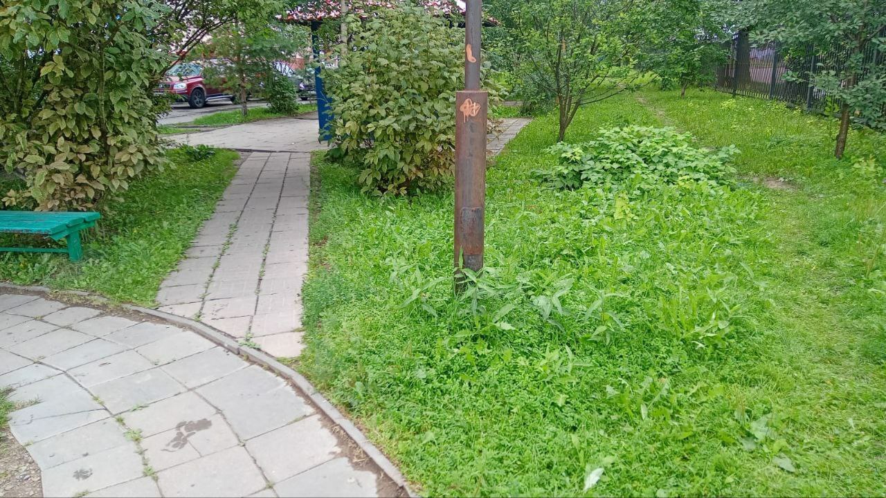Вчера в районе Парковой улицы вырубили деревья. Жители жалую